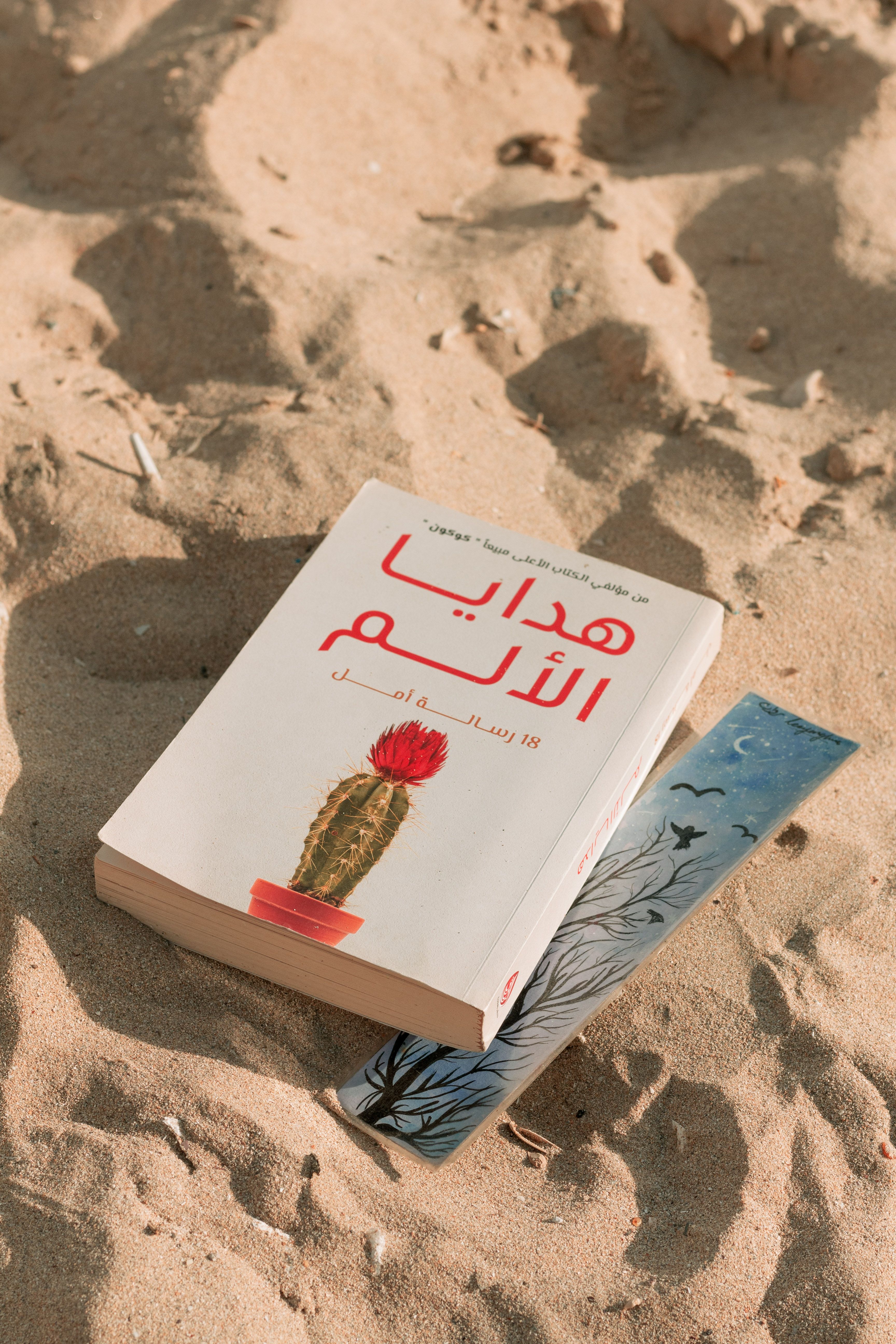 Gratis Un libro árabe con un marcapáginas se encuentra en una playa de arena de Alejandría. Foto de stock