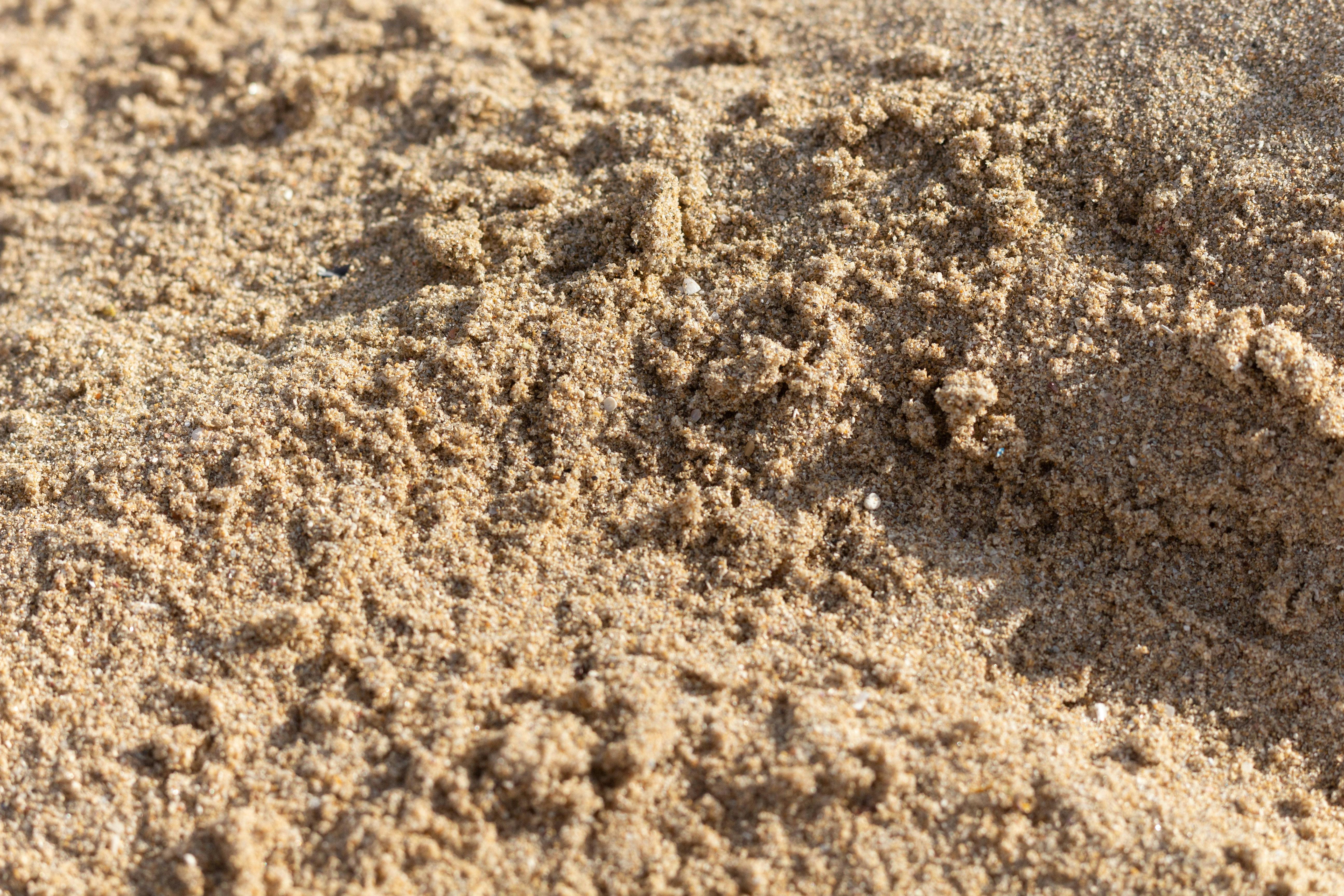 Gratuit Prim-plan detaliat al texturii nisipului de pe țărmul Alexandriei, perfect pentru texturi sau fundaluri naturale. Fotografie de stoc