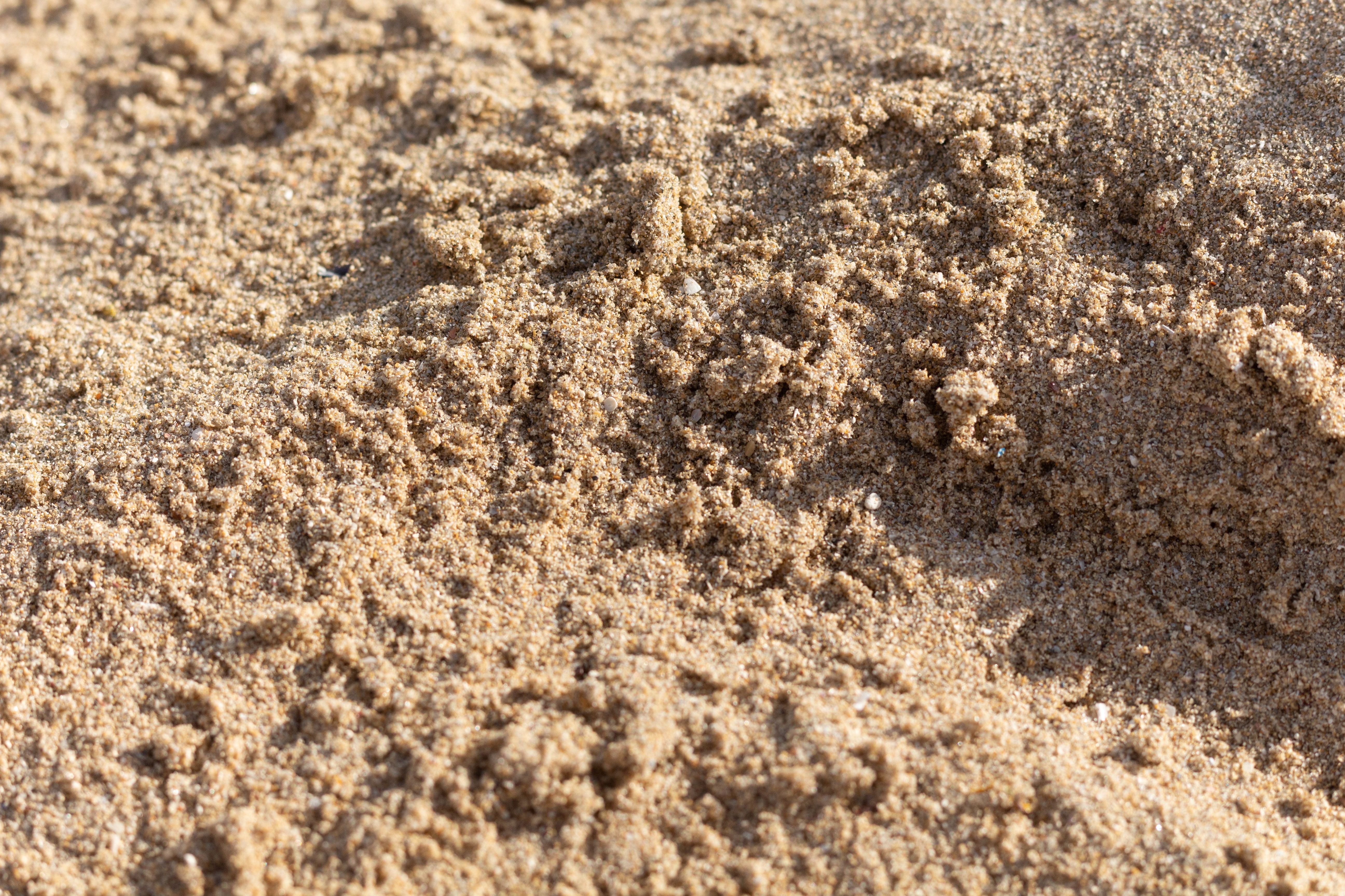 Gratis Primer plano detallado de la textura de arena de la playa en la costa de Alejandría, perfecta para fondos de textura o naturaleza. Foto de stock