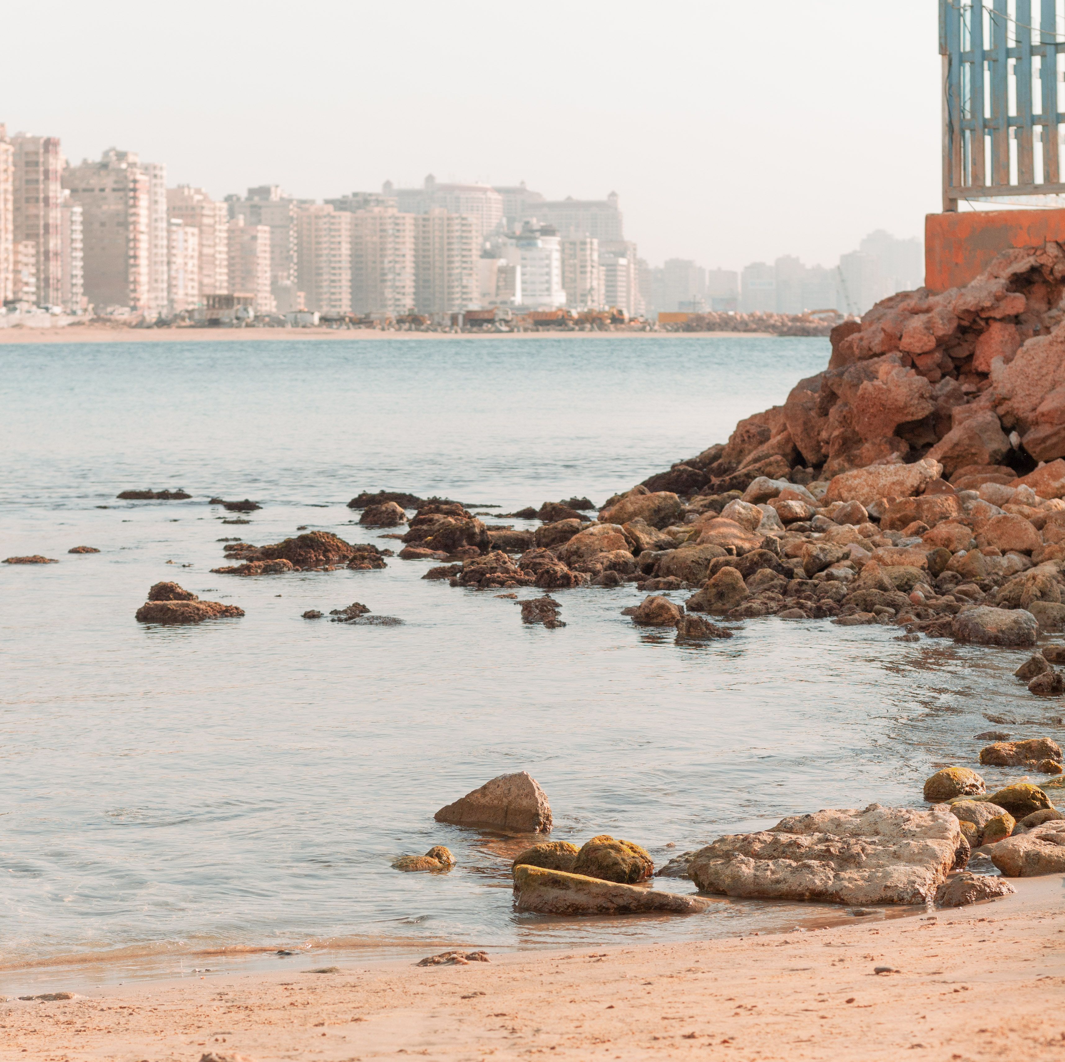 Gratis Tranquila escena de playa de Alejandría con costa rocosa y horizonte de la ciudad al fondo. Foto de stock