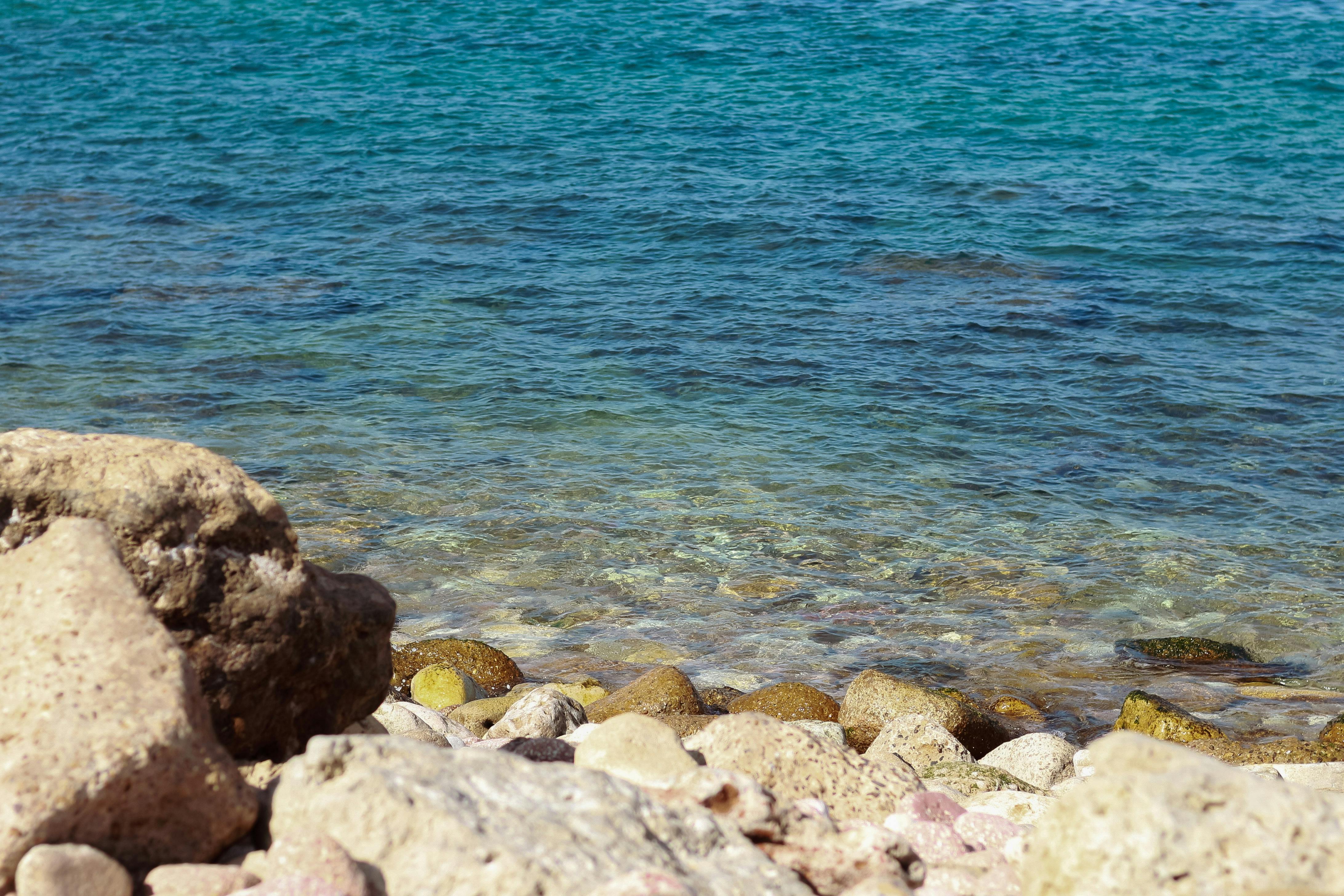 Bezpłatne Darmowe zdjęcie z galerii z @na wolnym powietrzu, afryka, aleksandria Zdjęcie z galerii