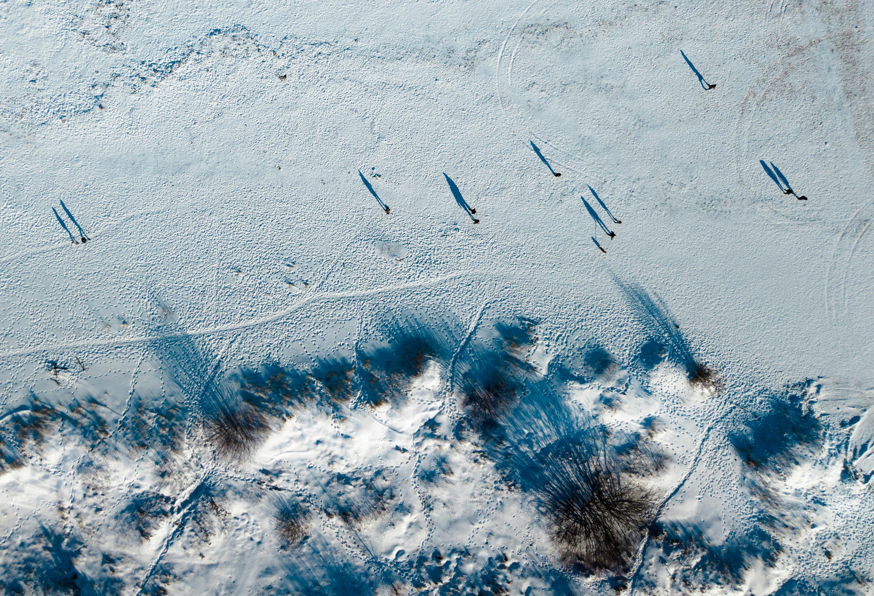 Gratis Luftfoto som viser mennesker og skygger på et snødekt felt, som skaper abstrakte mønstre. Arkivbilde