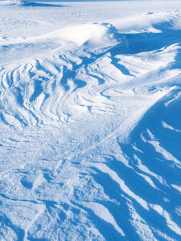 Intricate patterns formed in pristine snow dunes, captured in natural light.