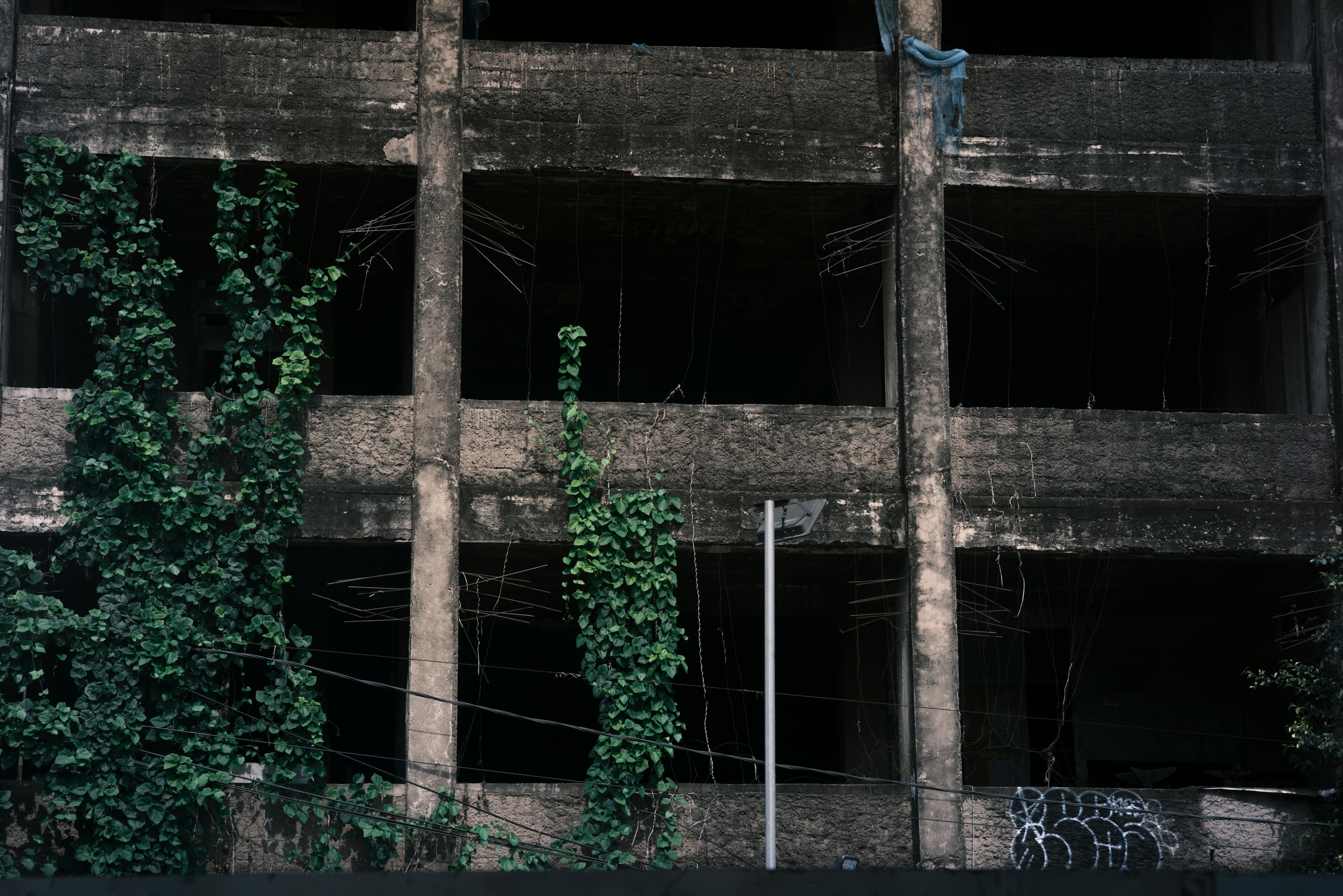 бесплатная Вьющиеся растения на заброшенном бетонном здании, демонстрирующие упадок городской среды. Стоковое фото