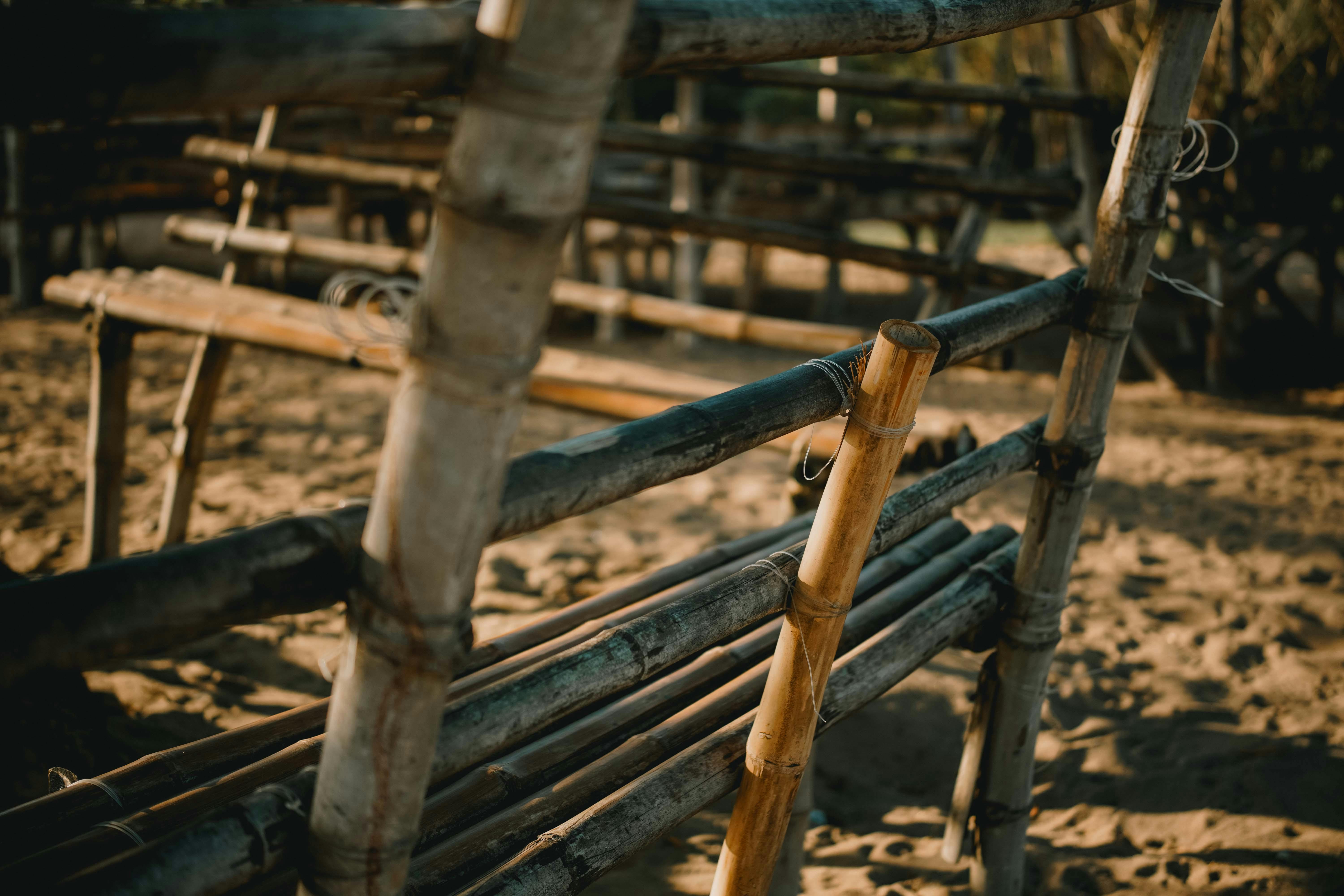 Free Rustic bamboo fencing casting shadows in a warm, sunlit outdoor setting. Stock Photo
