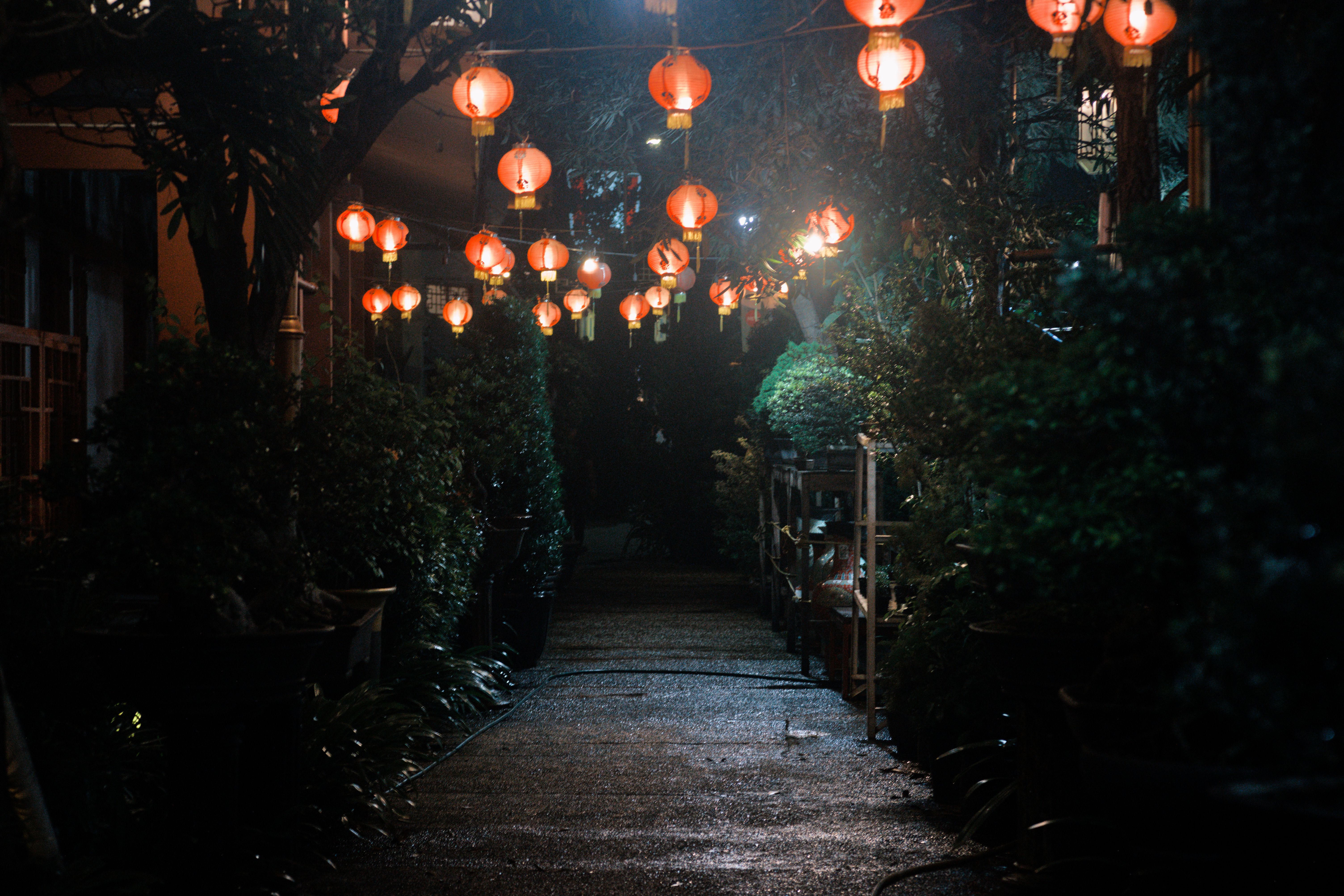 Enchanting Night Pathway with Red Lanterns · Free Stock Photo