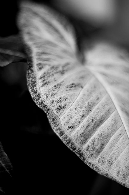 Photo by Matosuky on pexels