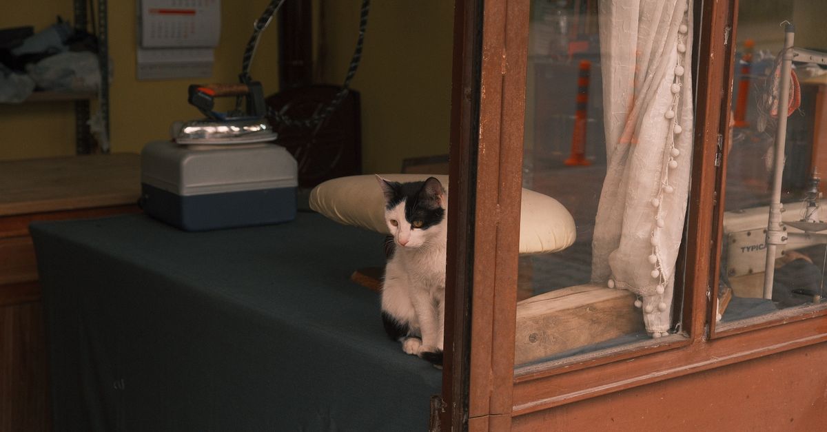 Foto de Animal Center