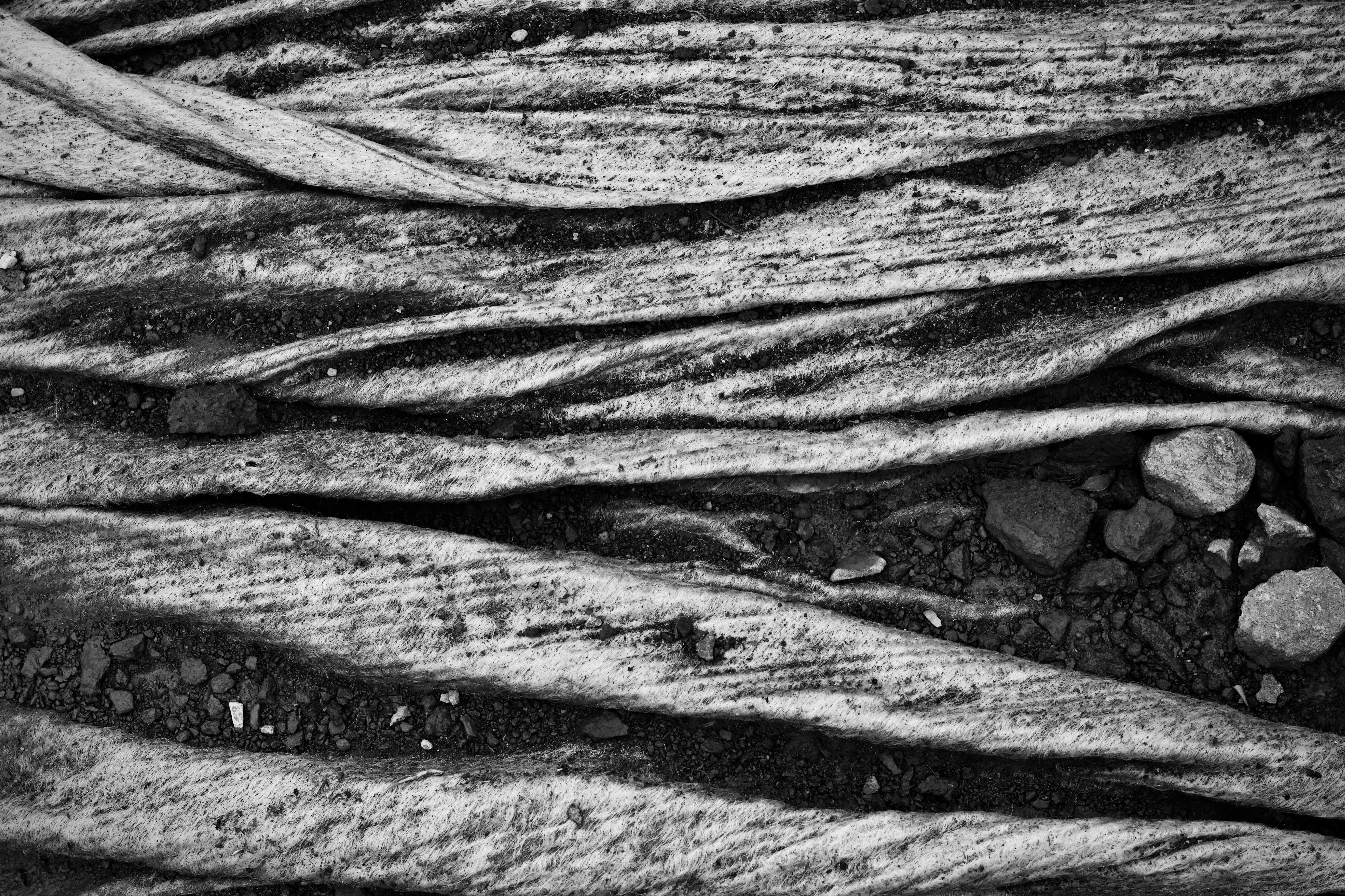 Bezpłatne Darmowe zdjęcie z galerii z abstrakcyjny, artystyczny, czarno-biały Zdjęcie z galerii