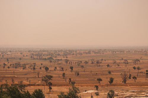Free Expansive view of Kaduna's dry season landscape with sparse trees. Stock Photo