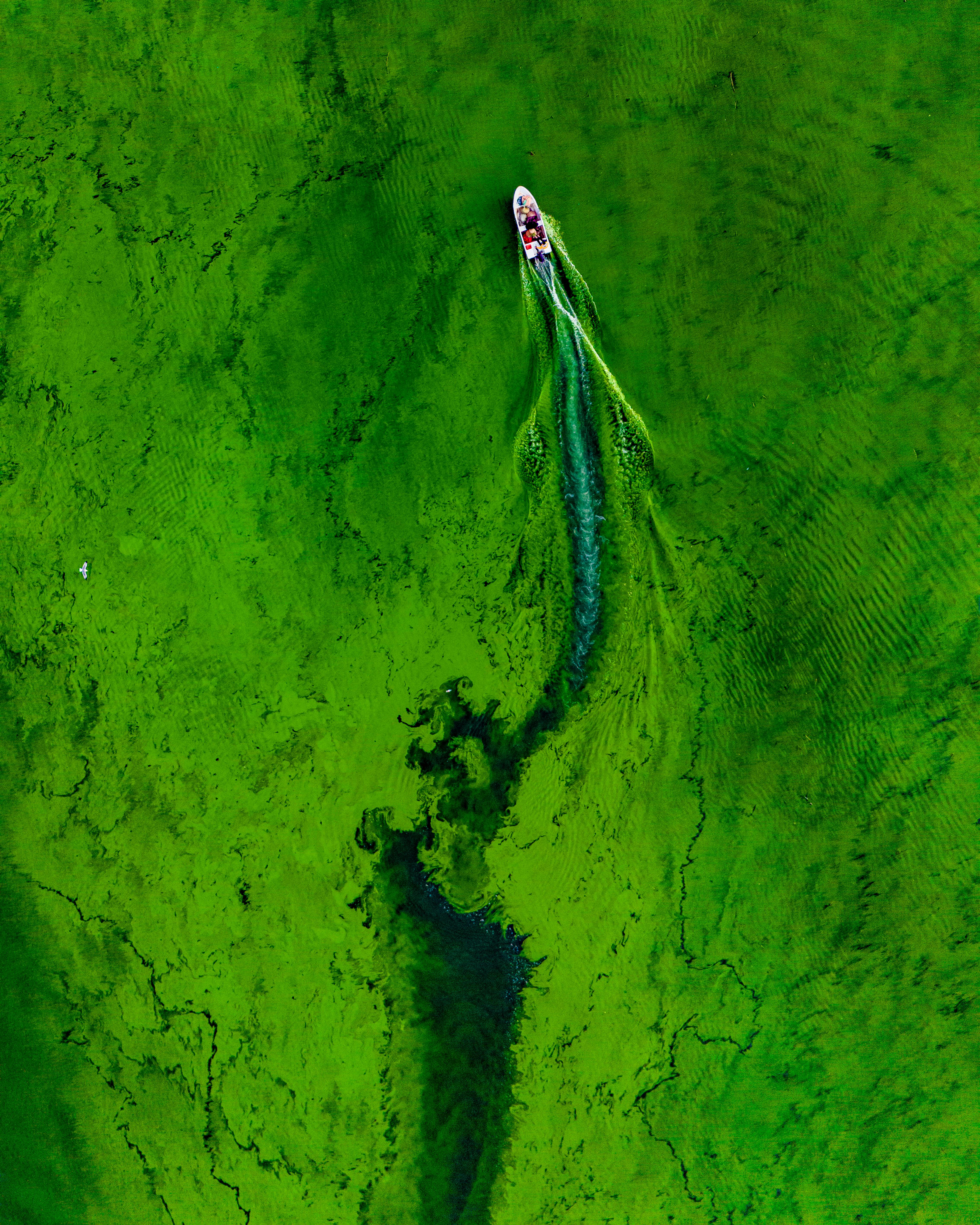 Bezpłatne Darmowe zdjęcie z galerii z aktywność, arteria wodna, cel podróży Zdjęcie z galerii