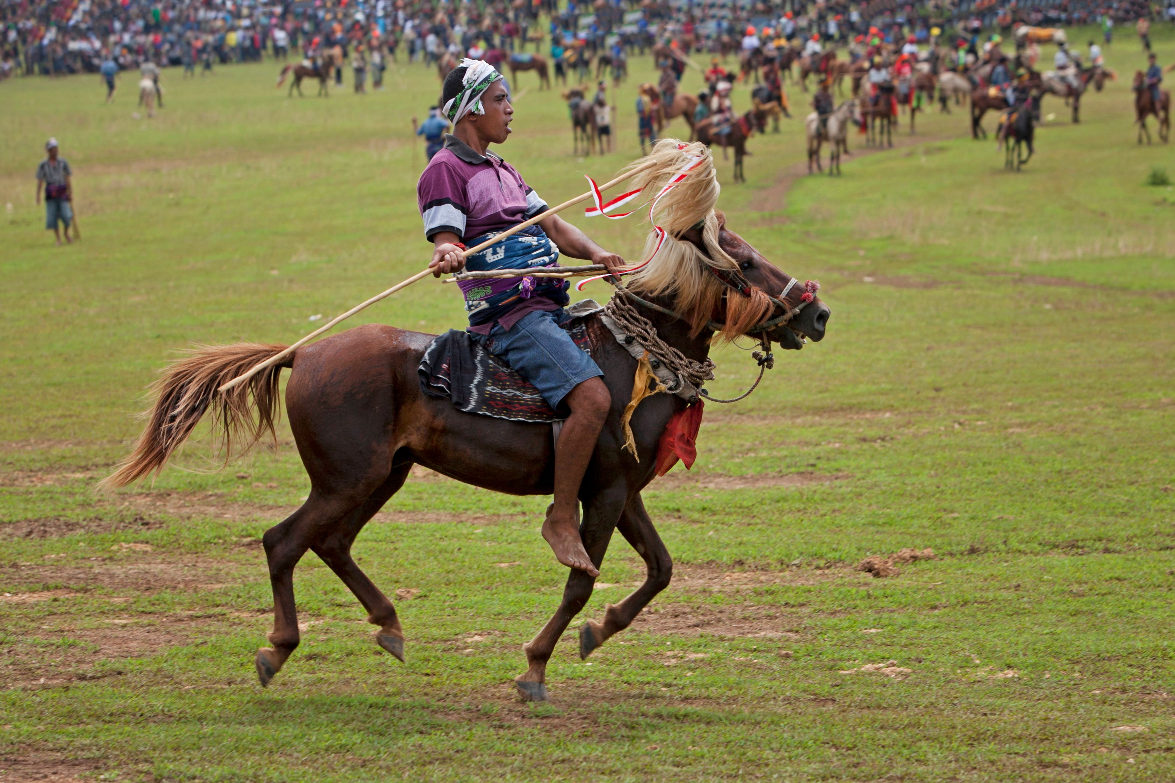 A vibrant scene of a traditional horseback riding festival with a rider in cultural attire grasping a lance.