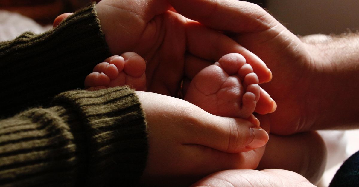 Surrogate Birth Sparks Legal Battle Over Child's Custody