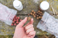 Person Holding Brown Ball Bait