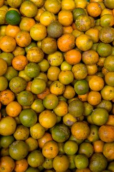 A vibrant collection of ripe and fresh citrus fruits showcasing the abundance of a fruitful harvest.