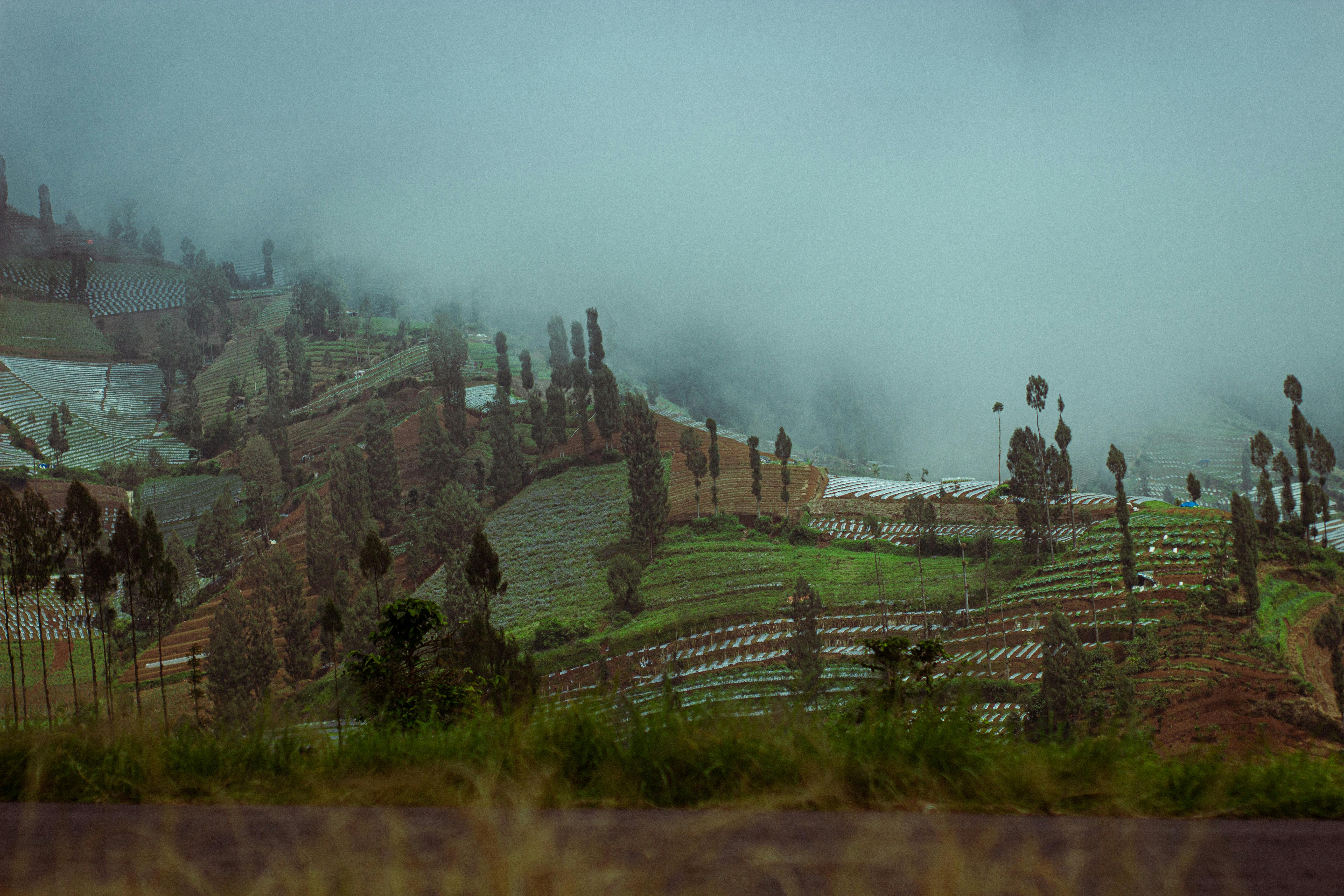 Gratuit Vedere pitorească a terenurilor agricole terasate luxuriante, învăluite în ceață, în Magelang, Java Centrală. Fotografie de stoc
