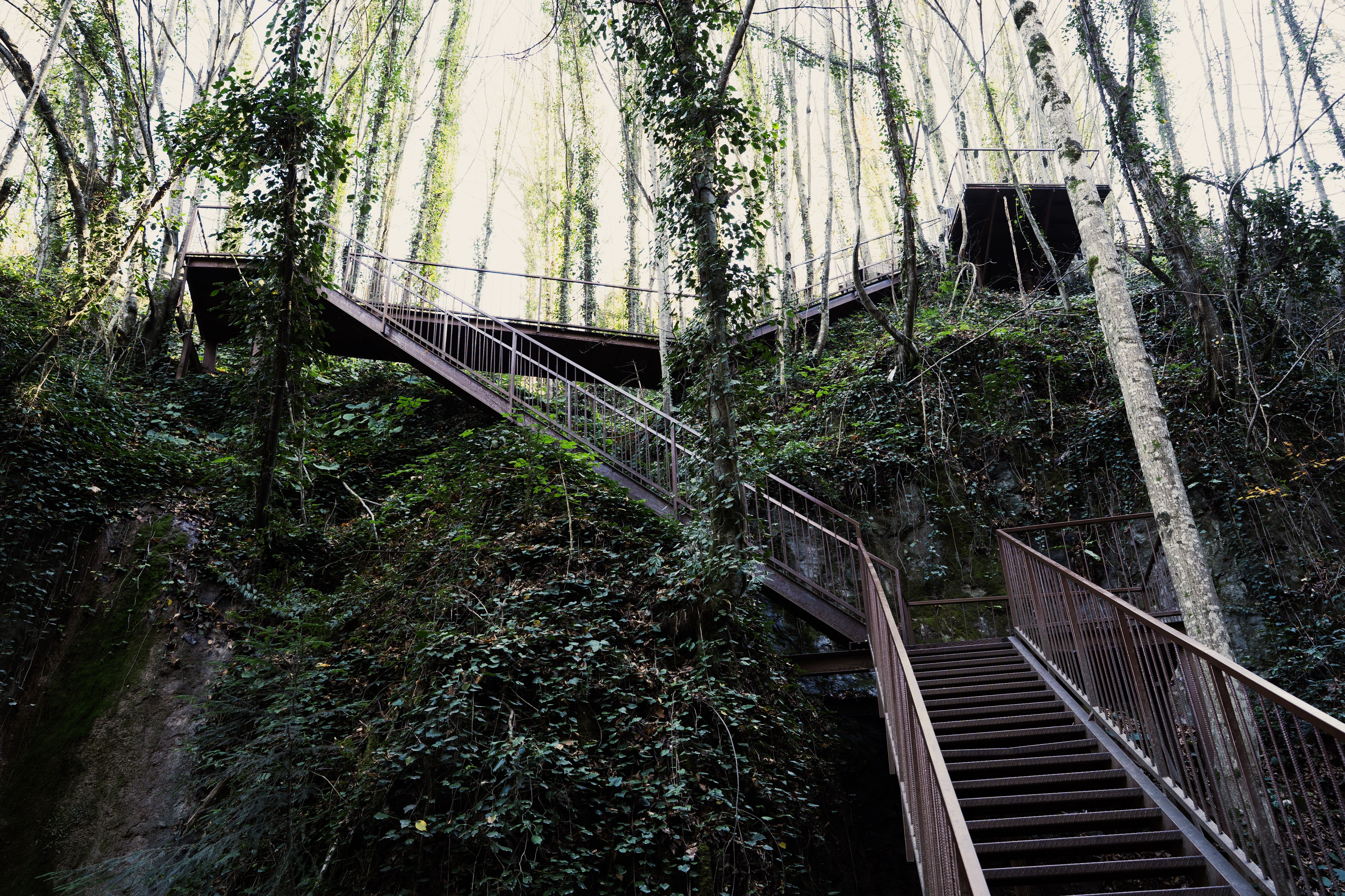 The Systematic Beds & Rising Path
