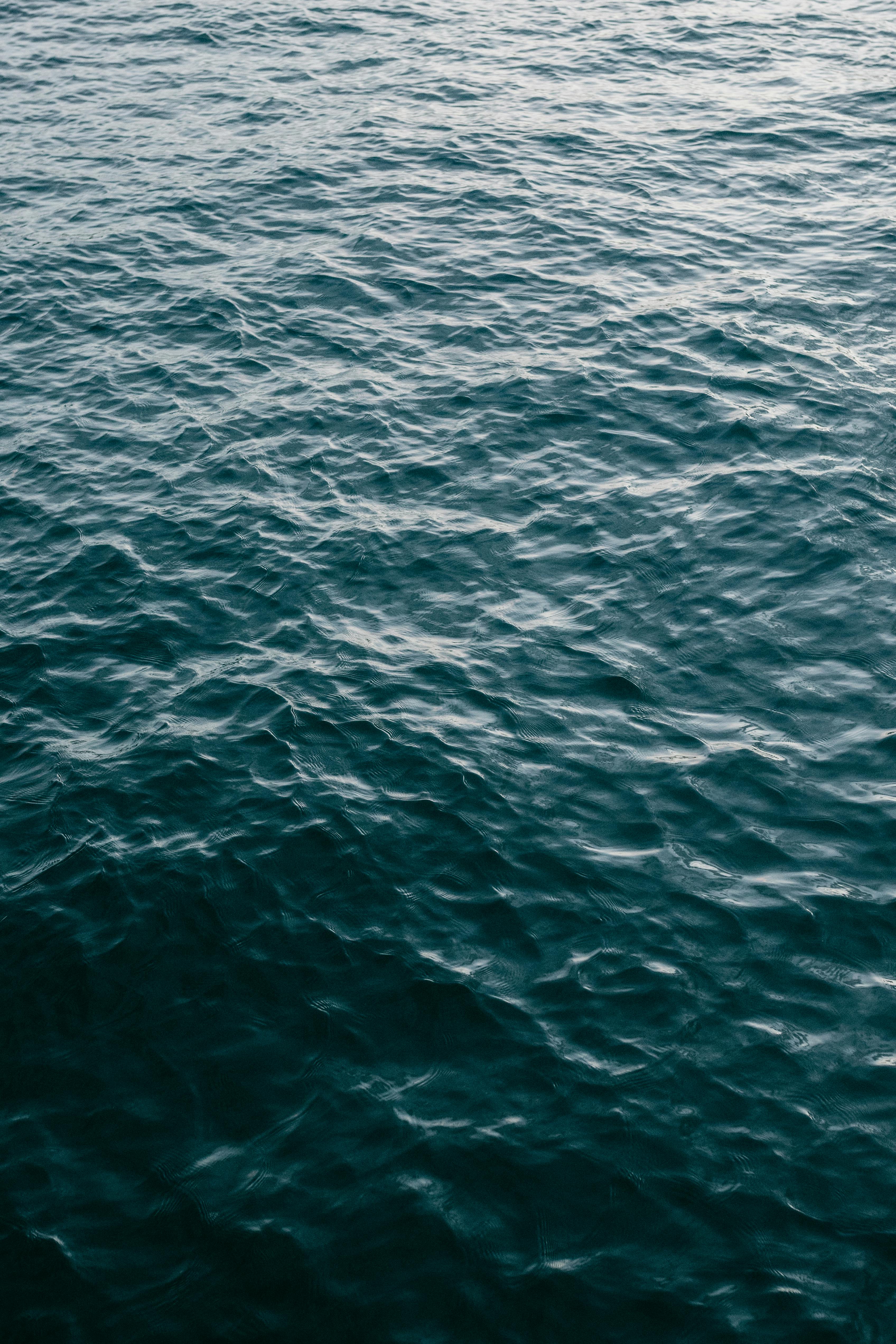 Gratis Rolig havvandoverflade, der viser blide krusninger og tekstur i dagslys. Lagerfoto