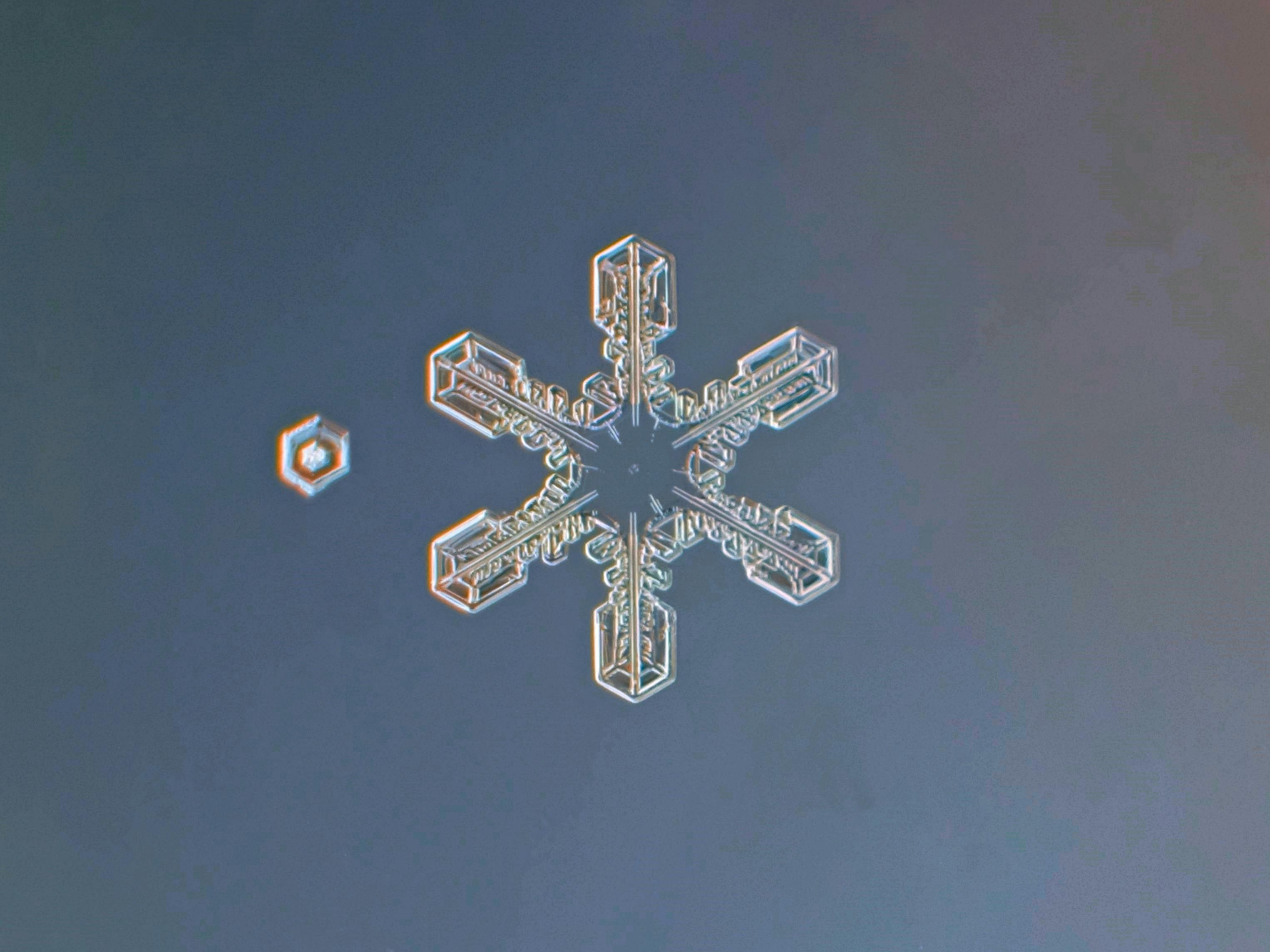 De franc Fotografia macro detallada d'un floc de neu que mostra simetria hexagonal i patrons geomètrics. Foto d'estoc