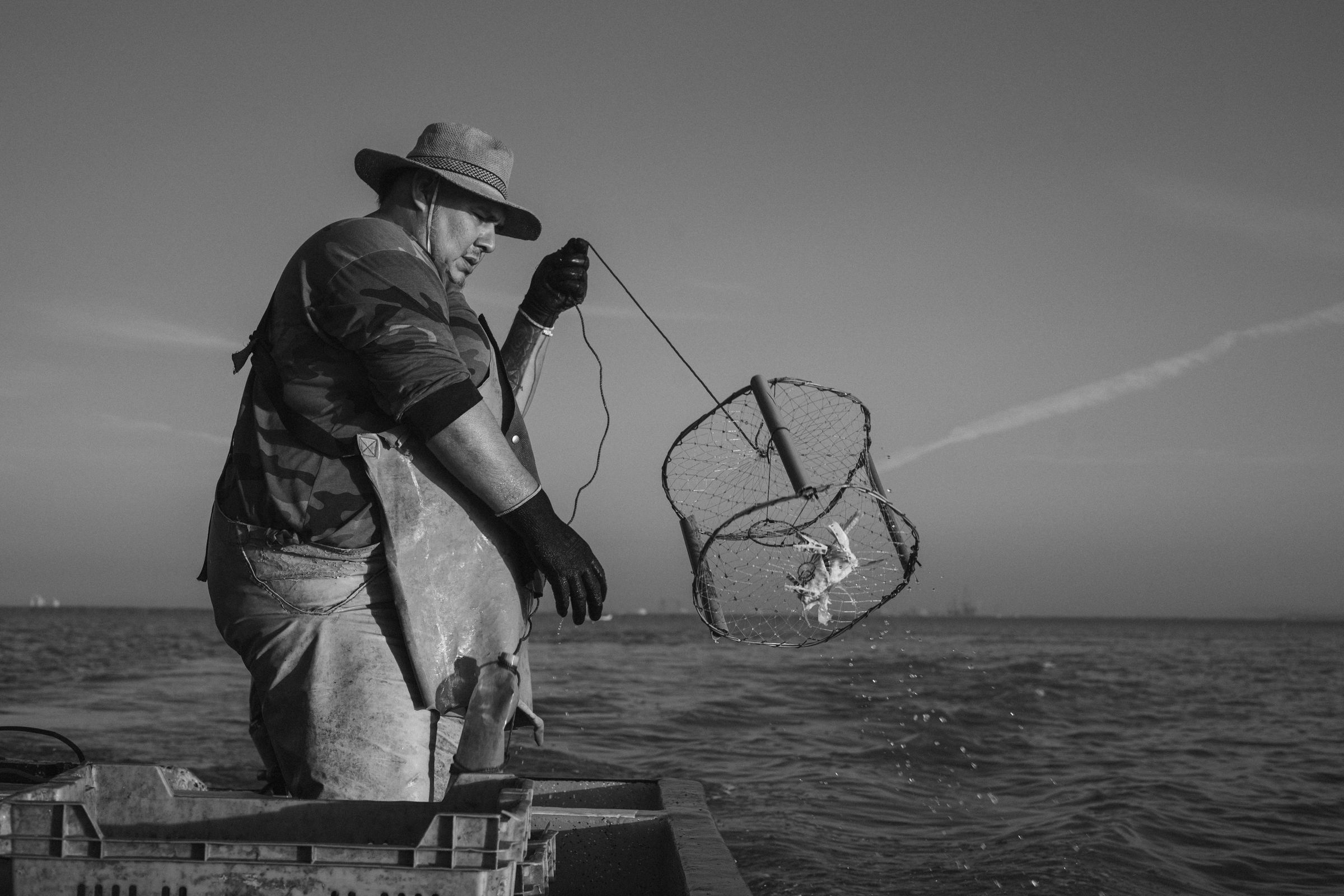 Gulf grouper season shrinks for anglers in 2027