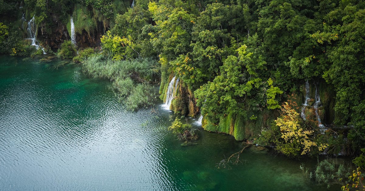 生活:你該知道的日月潭水位驟降背後原因及影響
