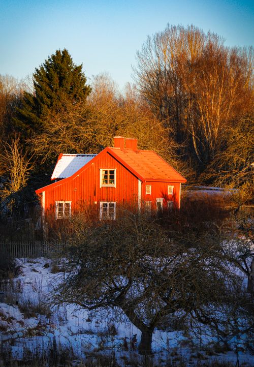 Free A charming red wooden house stands in a snowy landscape, surrounded by bare trees. Stock Photo