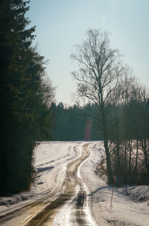 Free Scenic winter road winding through a snowy forest with bare trees under clear sky. Stock Photo