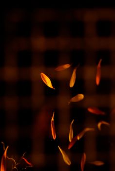 Captivating abstract image of autumn leaves falling in warm light, creating a beautiful texture.