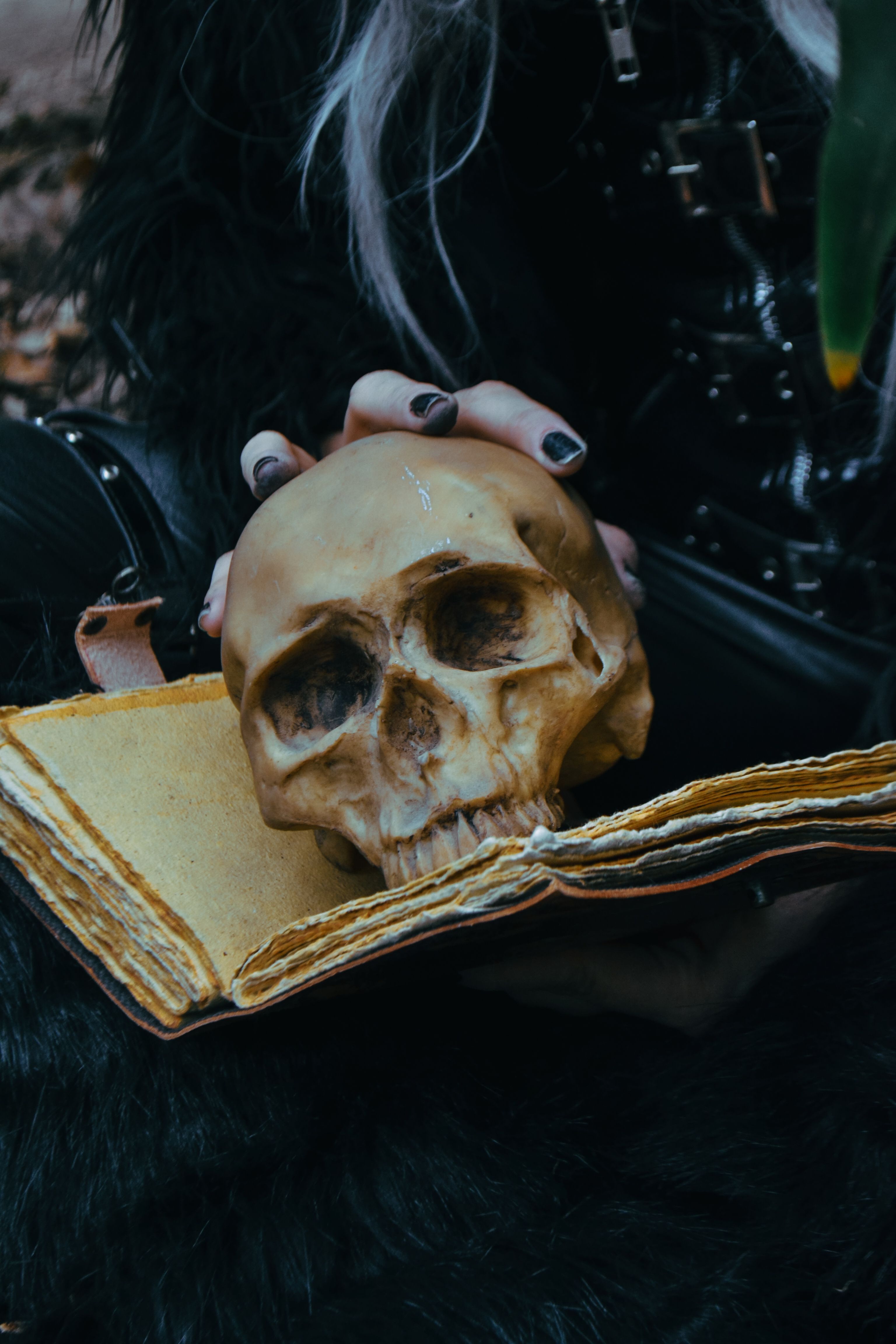 A True History Of Witchcraft