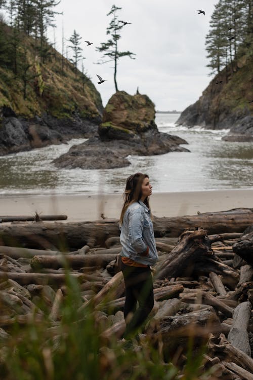 Free Woman By The Shore Stock Photo