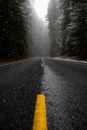 Low Angle Photo of Road While Raining