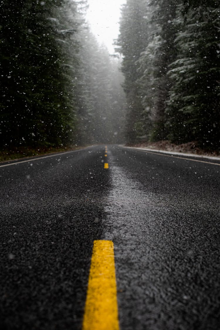 Low Angle Photo Of Road While Raining