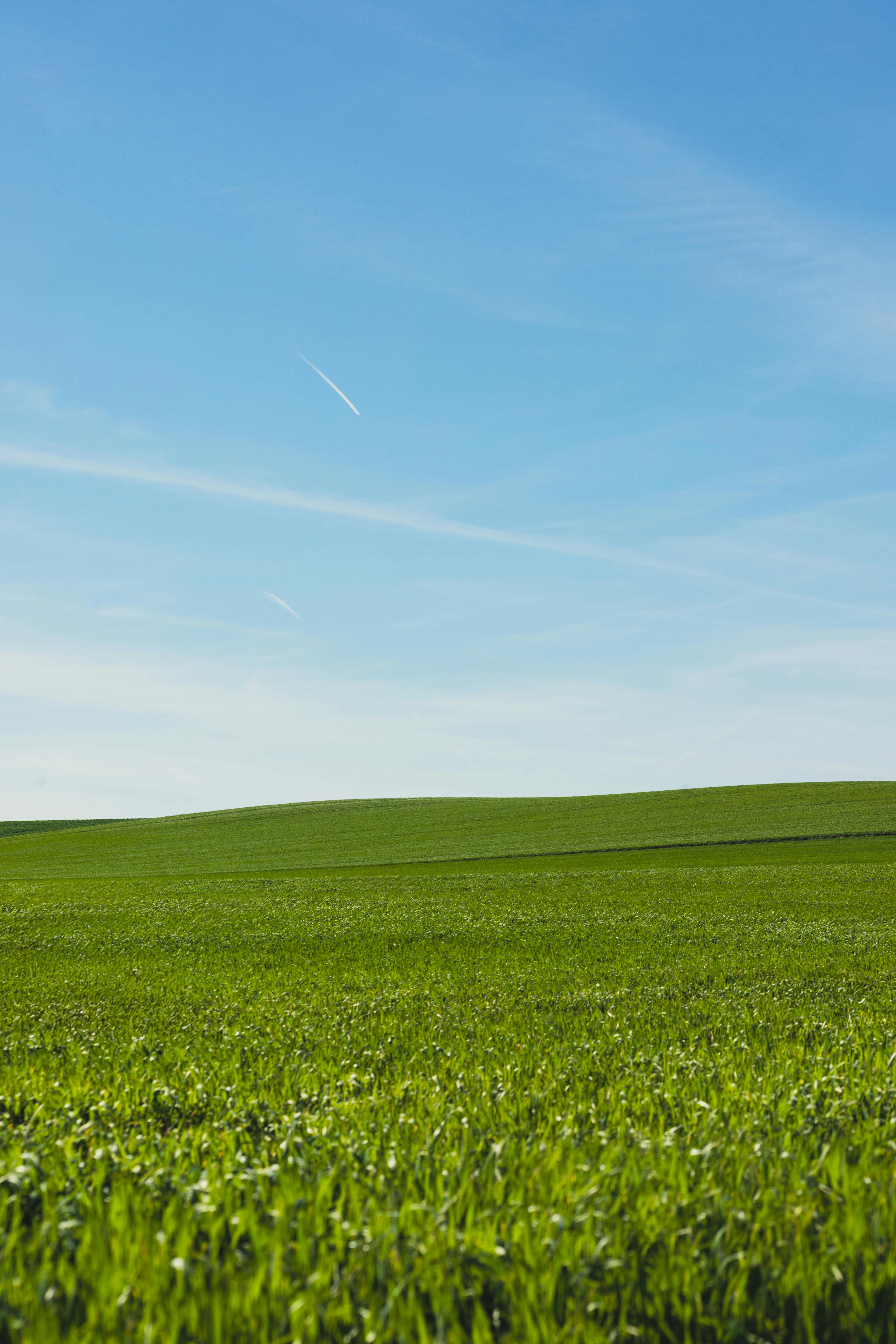 Kostnadsfria Vidsträckt grönt fält under en klarblå himmel, perfekt för natur- och landskapsteman. Stock foto