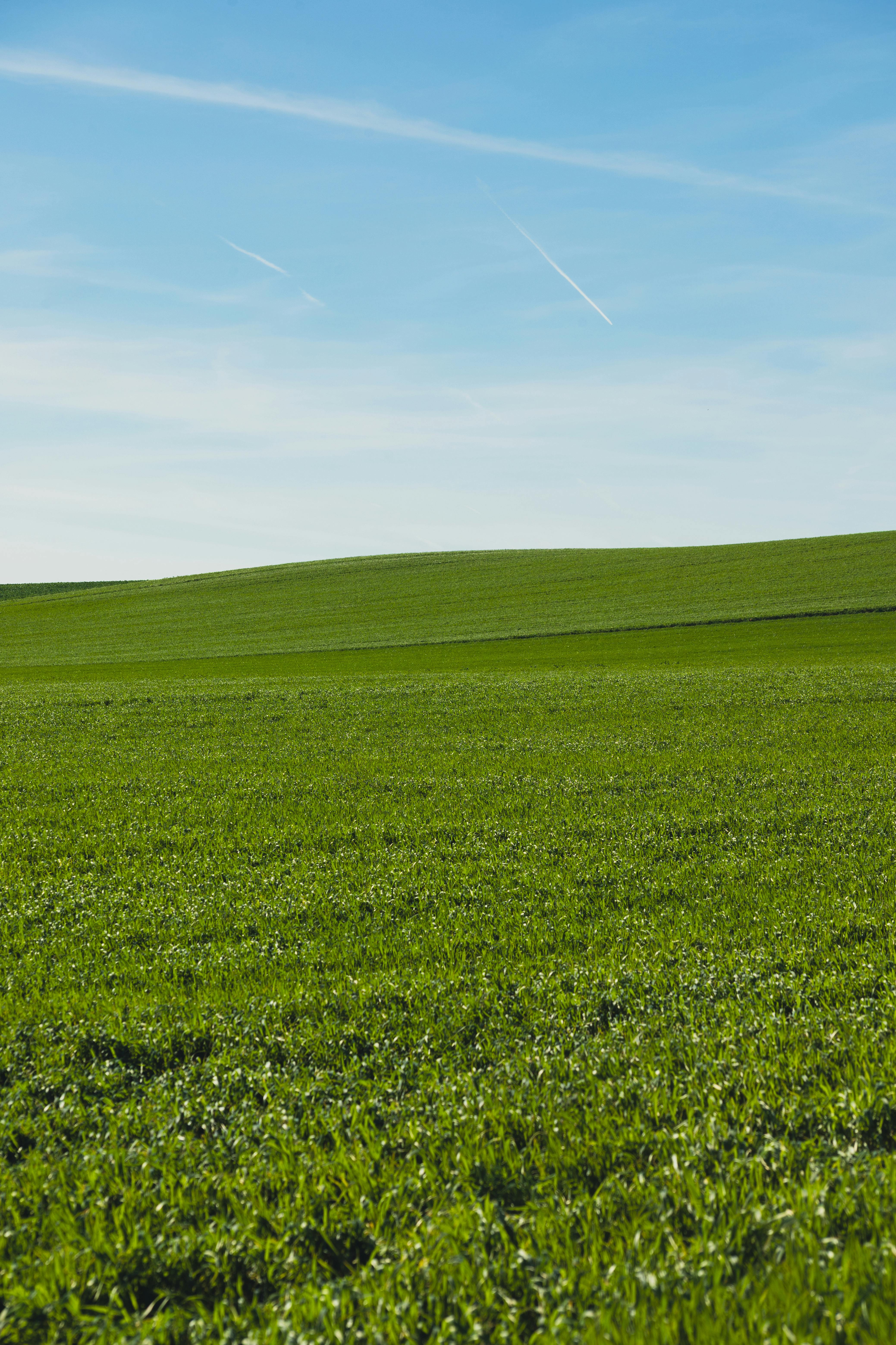 Gratis Foto stok gratis adegan di luar ruangan, agrikultura, alam Foto Stok