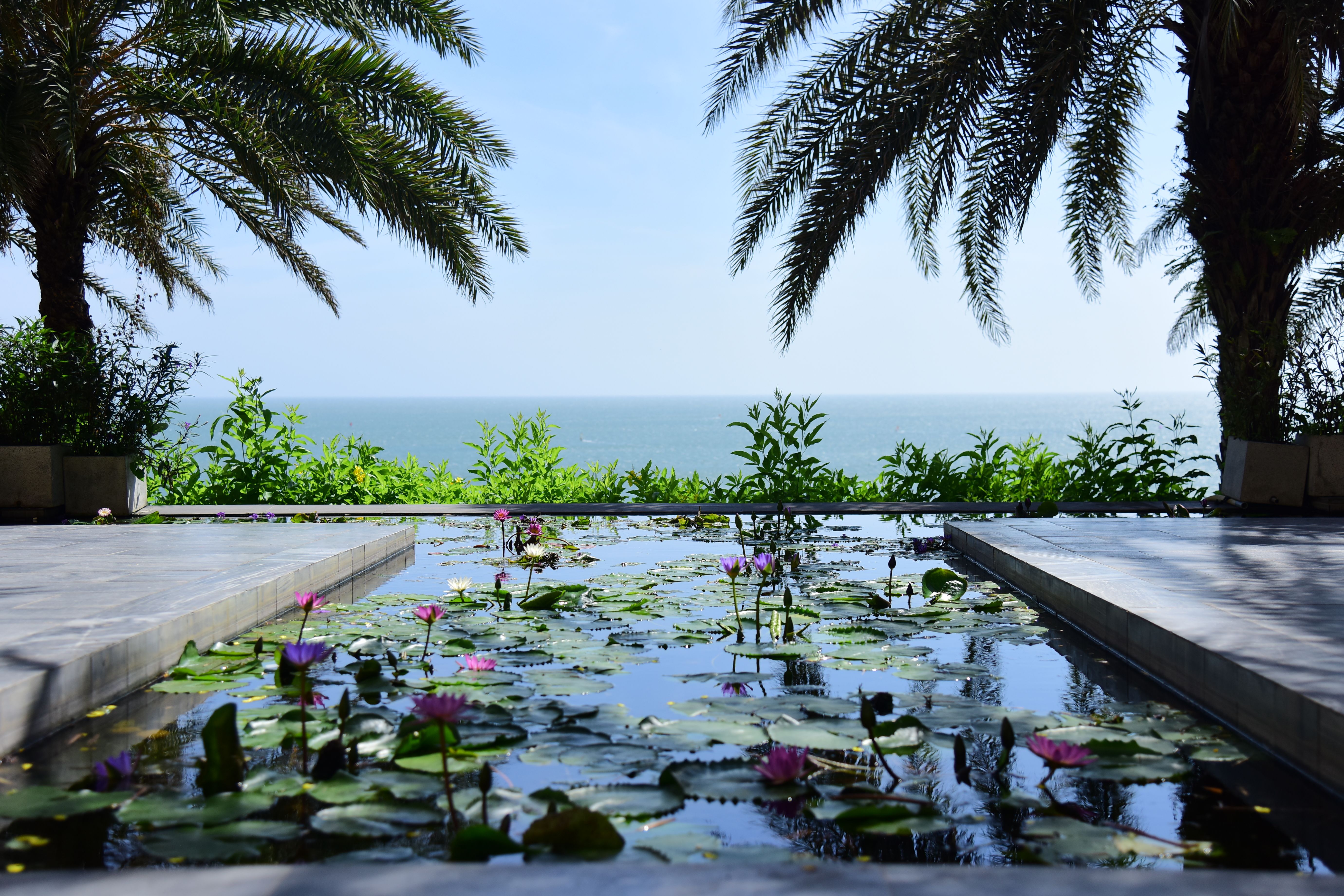 Lush garden leading from the property to the beach path
