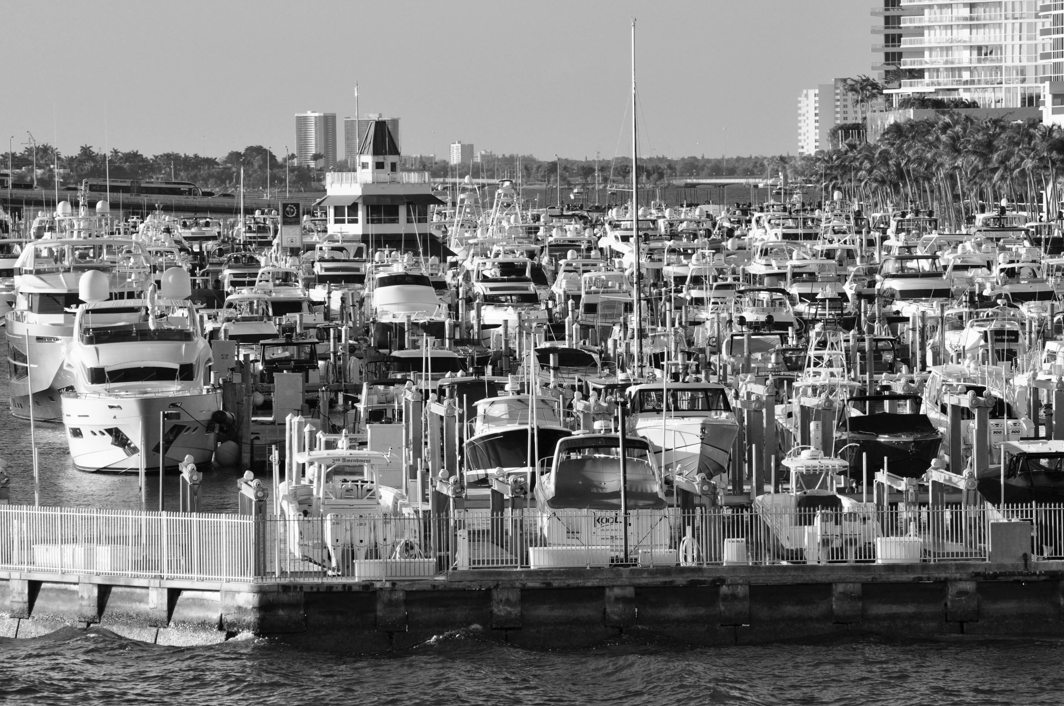 Kostnadsfria Svartvit vy över en livlig marina fylld med lyxyachter och båtar i ett livligt stadsområde. Stock foto