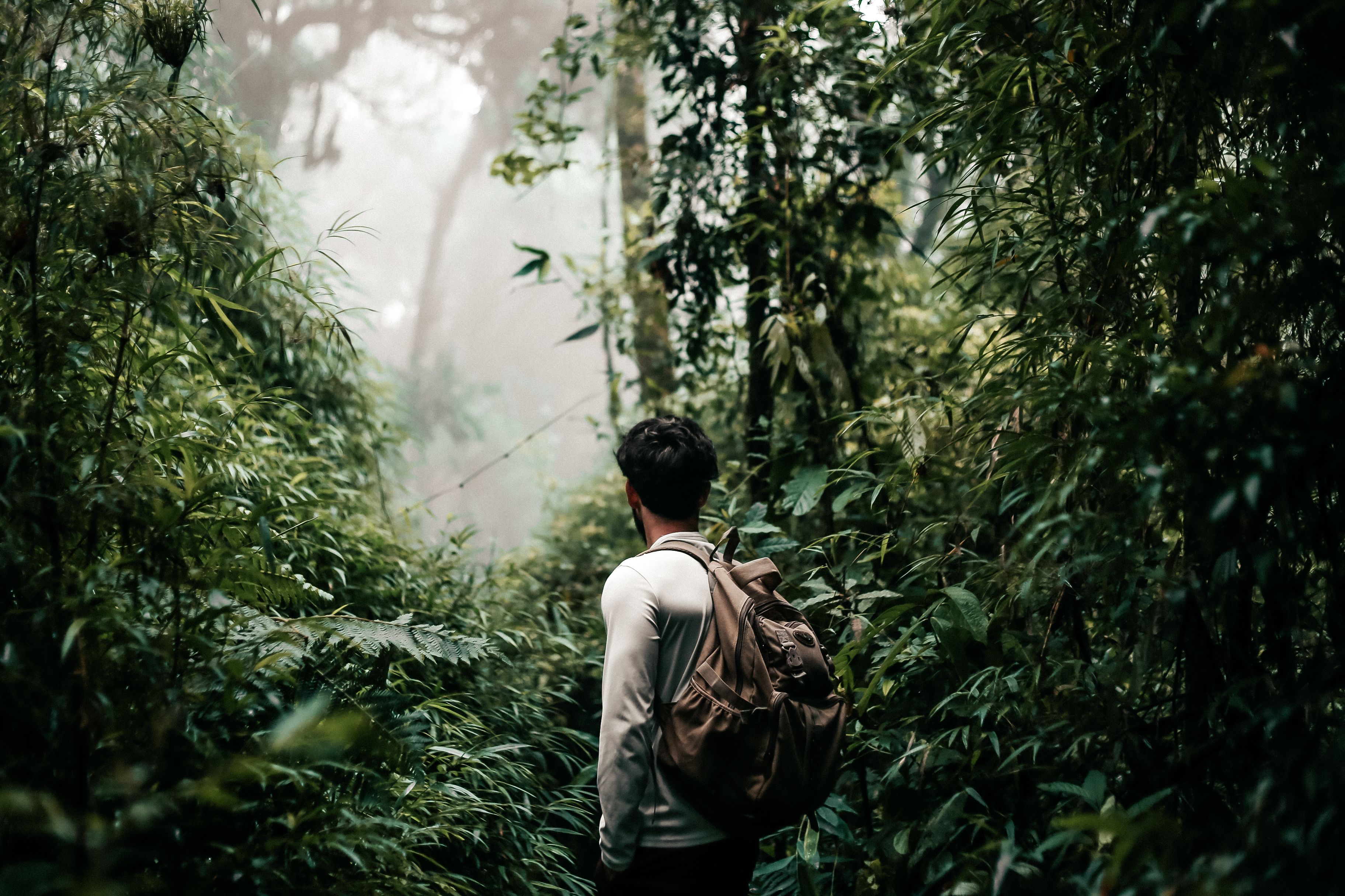 Spectacular Salvador African Heritage Private City Tour Including Afro Museum Review: An Unforgettable Journey Through Brazil's Soul Review 2026 - Man hiking through lush forest trails in Minas Gerais, Brazil, embracing nature.