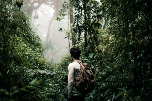 Man hiking through lush forest trails in Minas Gerais, Brazil, embracing nature.