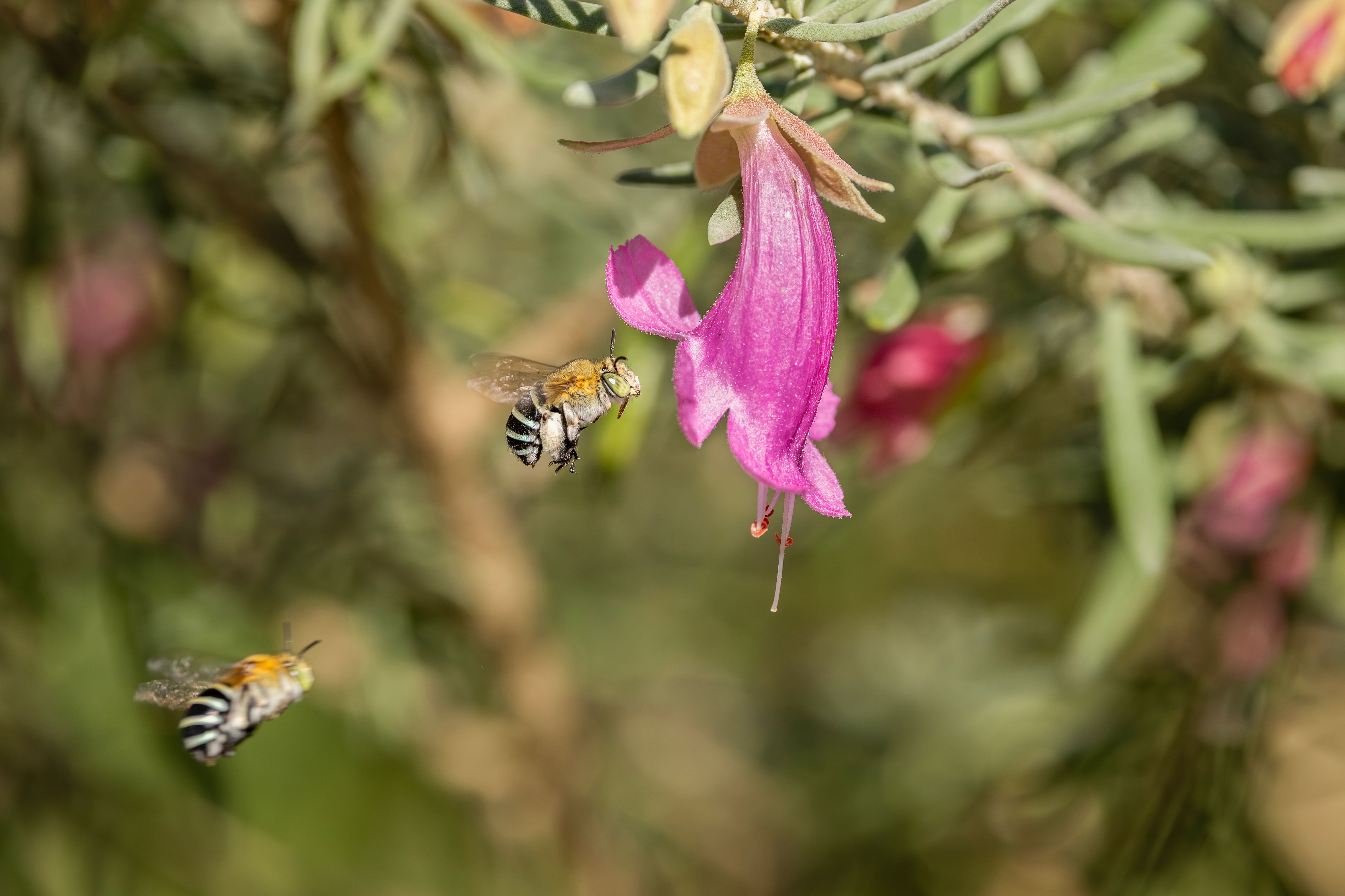 Foto: Stuart  Robinson / Pexels