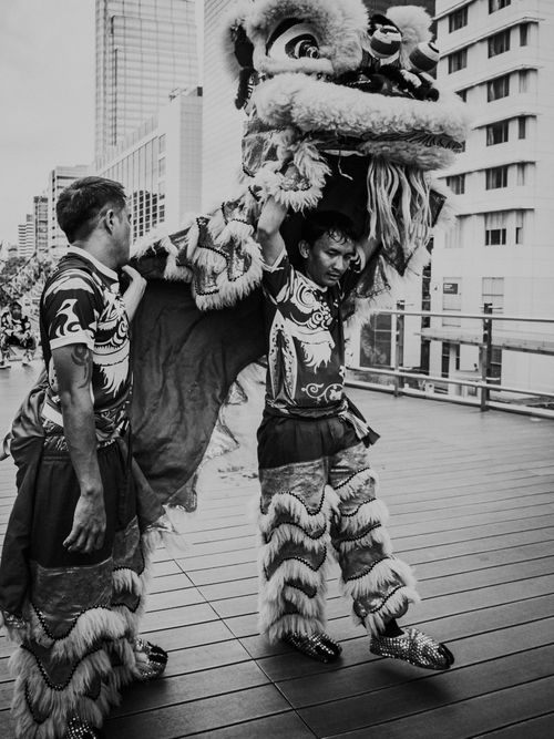 Free Black and white photo of a vibrant Chinese lion dance in Jakarta's urban setting. Stock Photo