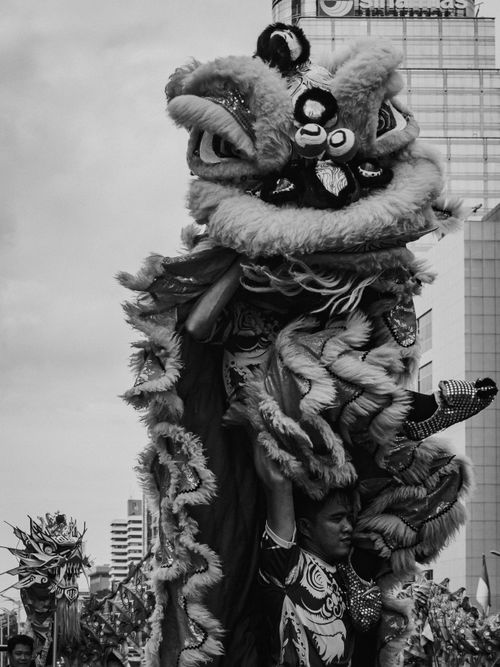 Free Black and white photo of a Chinese lion dance in Jakarta, Indonesia, showcasing cultural tradition. Stock Photo