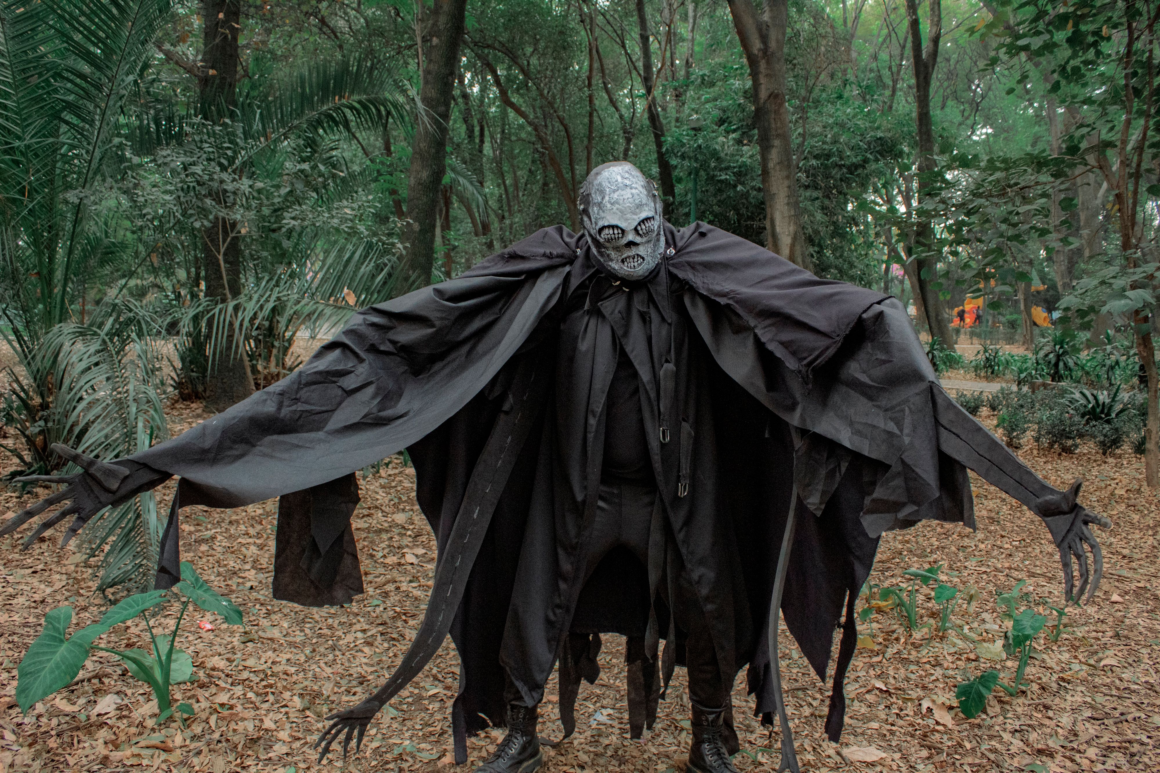 3 Fantasy Series Like A Discovery of Witches to Stream Now — Photo by Miguel Rodríguez on Pexels