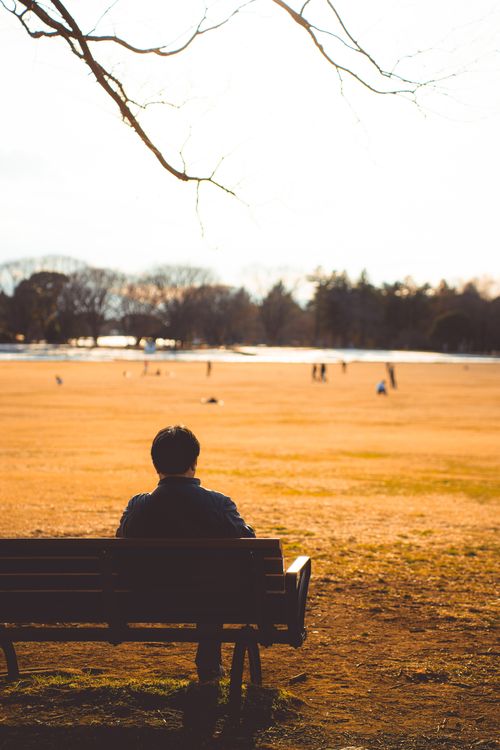 Free A contemplative moment on a bench in Tokyo's Yoyogi Park during autumn, with golden leaves and tranquil surroundings. Stock Photo