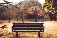 Serene Autumn Park Scene in Tokyo