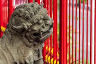 Lion Statue Beside Vibrant Red Fence