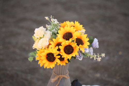 Free Bright bouquet of sunflowers and roses offering a cheerful and natural display. Stock Photo