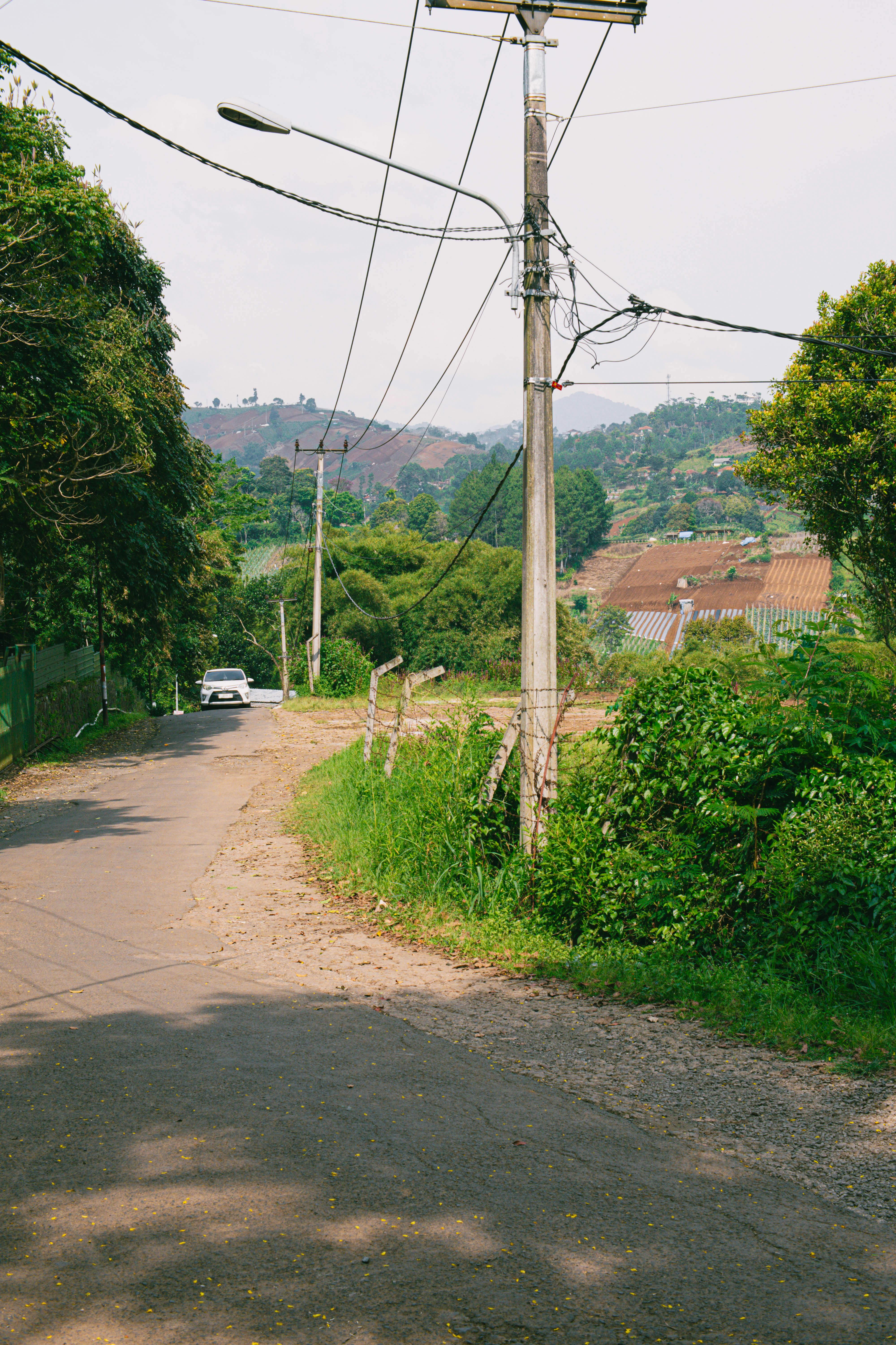 無料 豊かな緑と遠くの丘に囲まれたバンドンの静かな田舎道。 写真素材