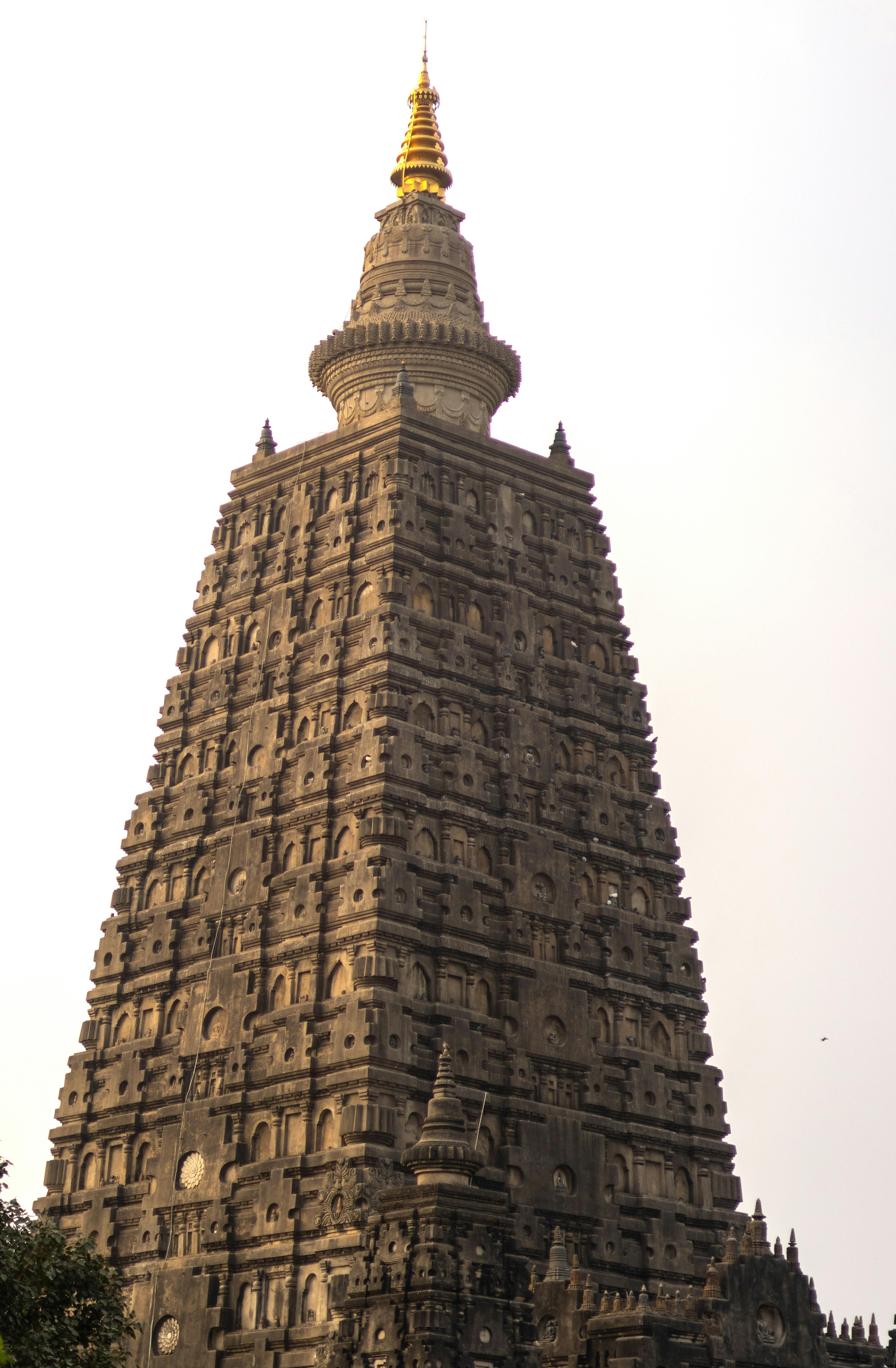 Buddhist Circuit(Bihar, UP) - Image 2