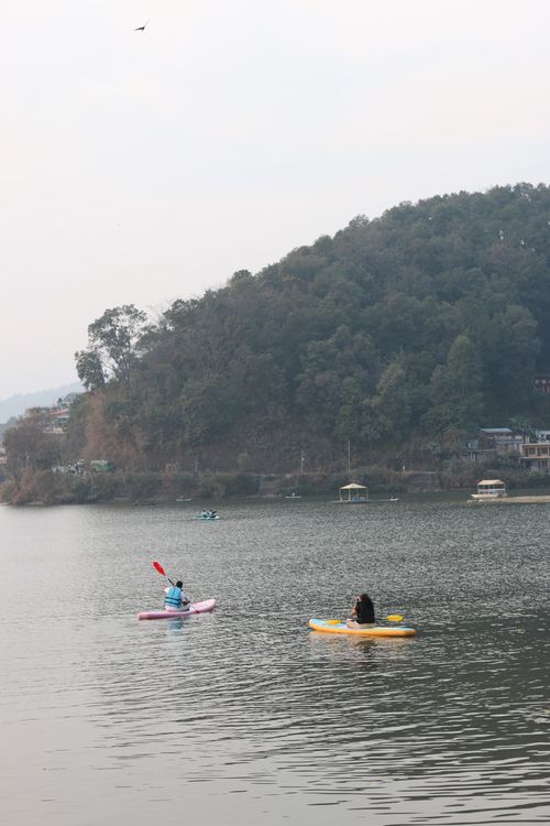 Free Kayakers paddling on Phewa Lake in Pokhara, surrounded by lush hills. Stock Photo