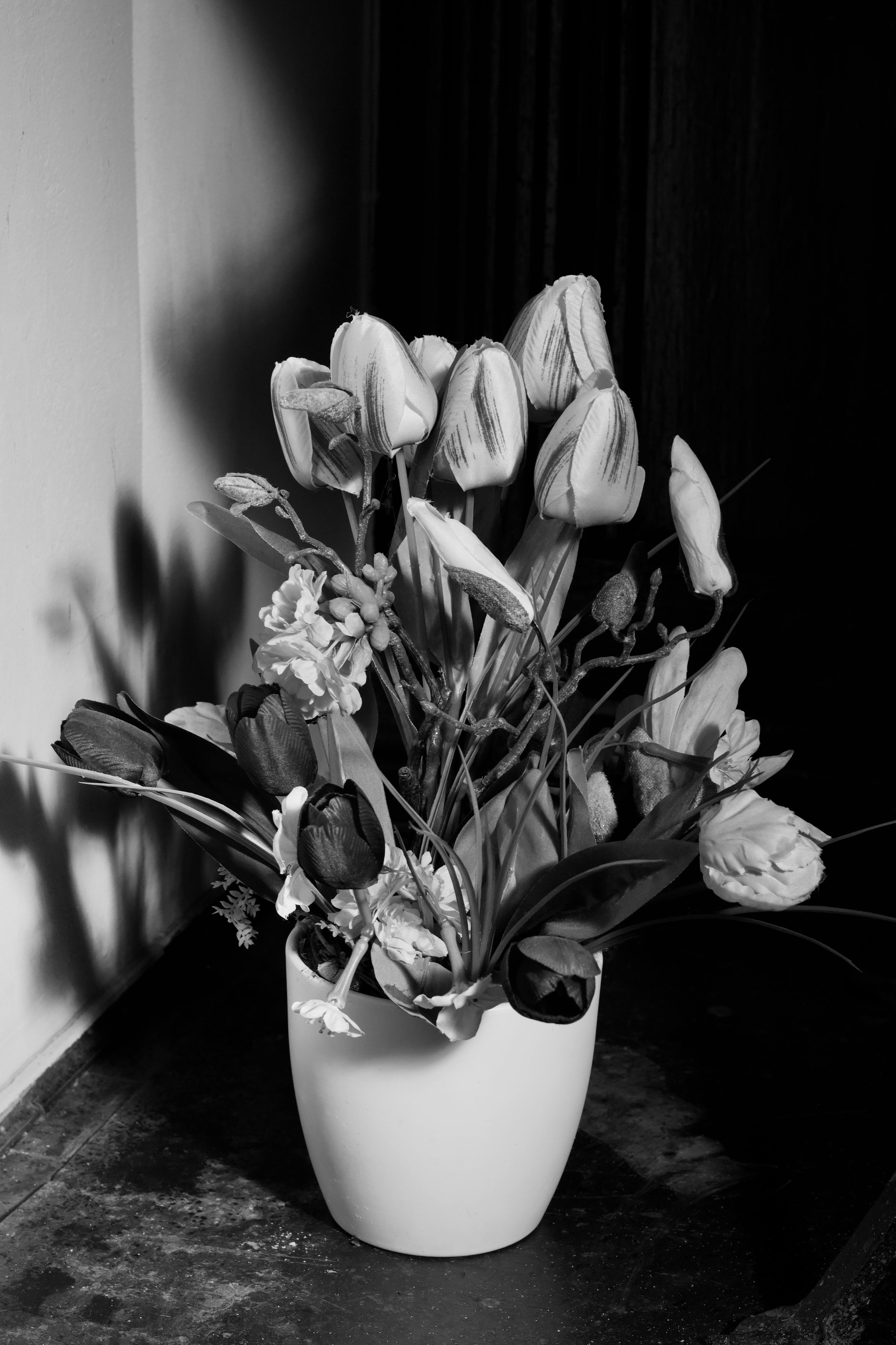 Bezpłatne Uderzająca monochromatyczna kompozycja kwiatowa z tulipanami w białym wazonie, tworząca klasyczną estetykę. Zdjęcie z galerii